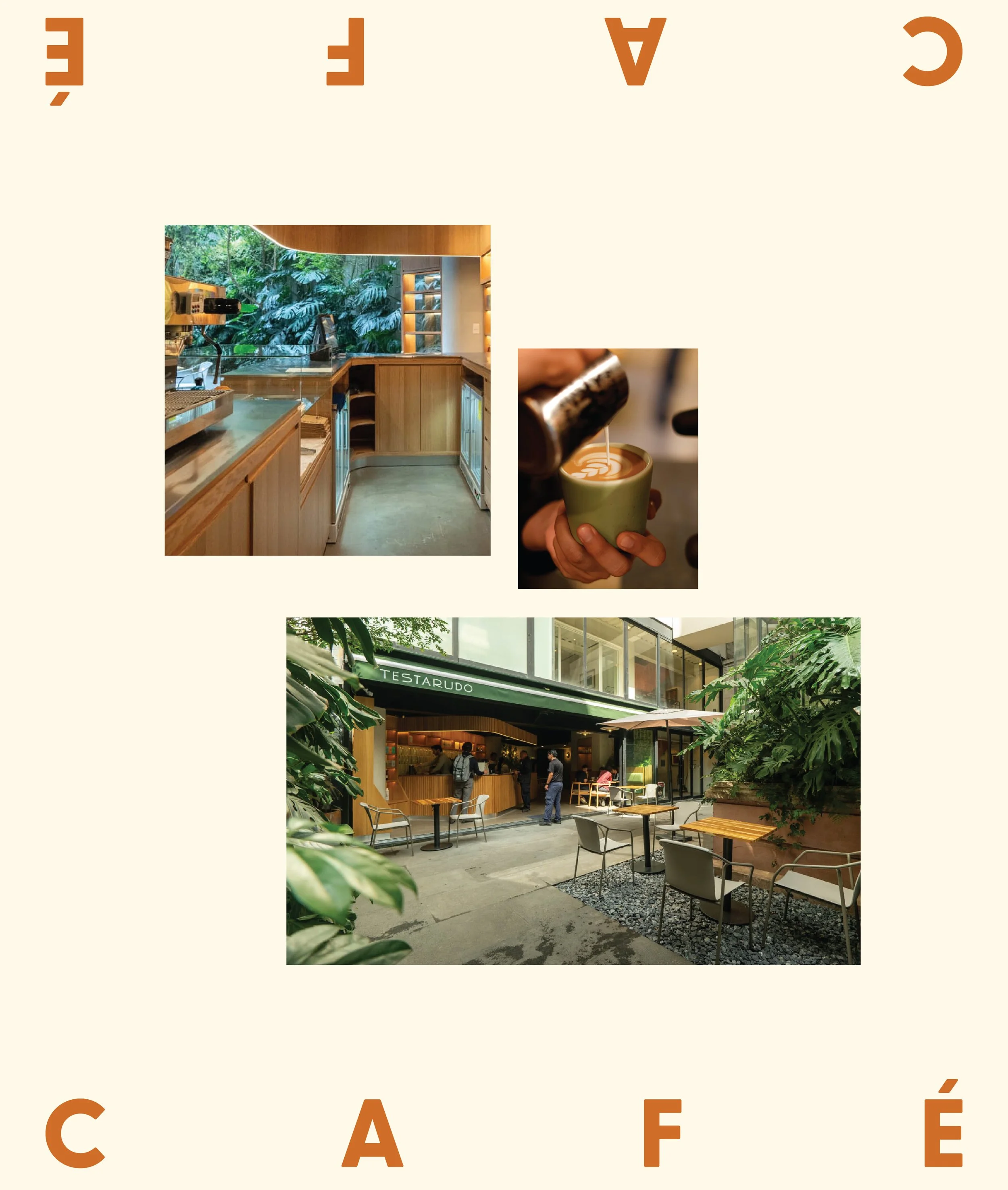 Testarudo-Behance-21.jpg
