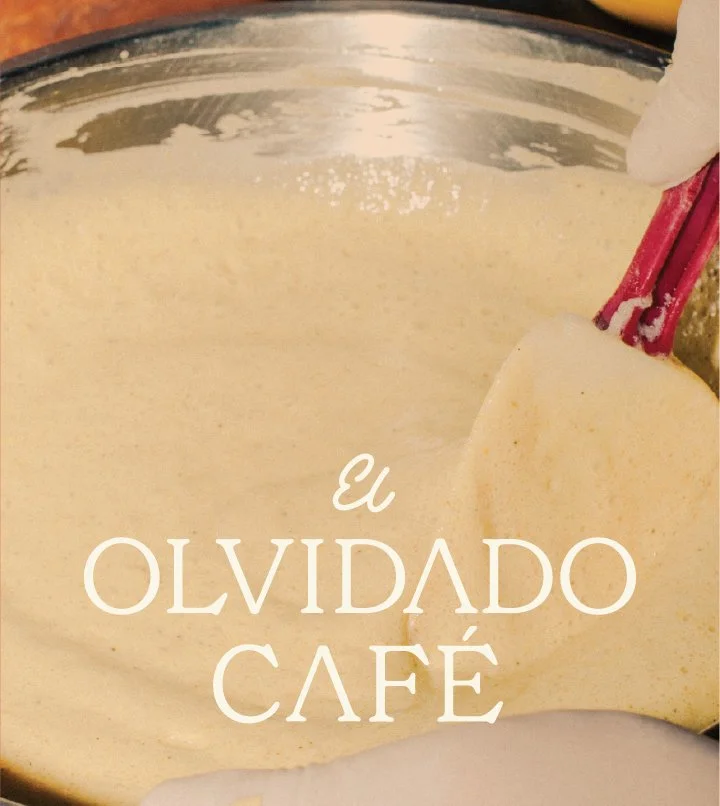 Behance-ElOlvidado-13.jpg