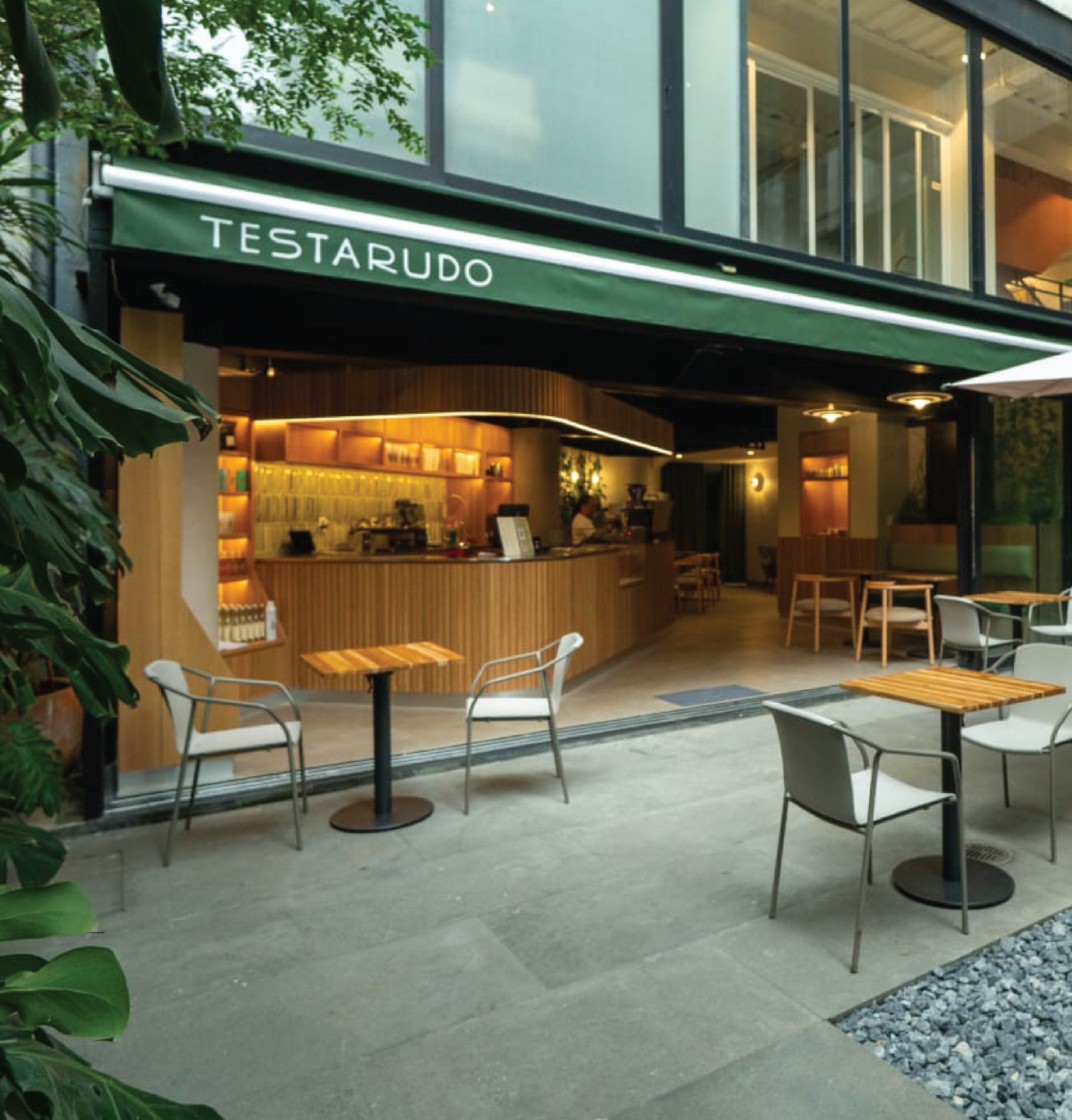 Testarudo-Behance-05.jpg