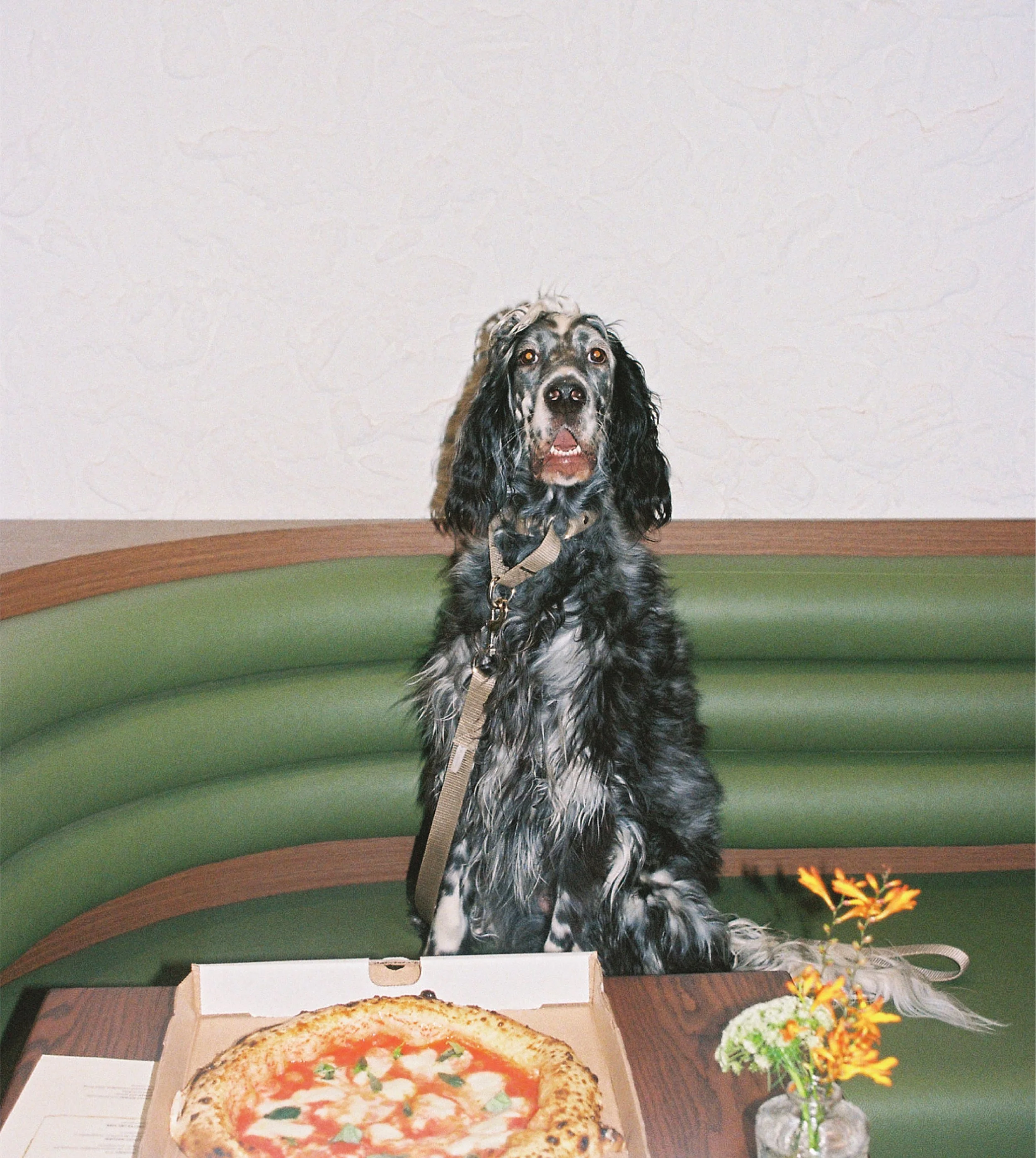 Viñetta-Behance-36.jpg