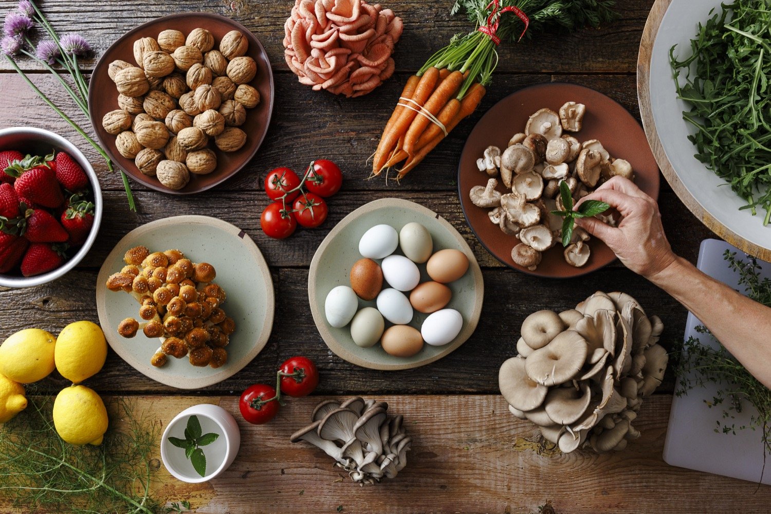 Pico_Ingredients_Photo Credit Silas Fallstich.jpg