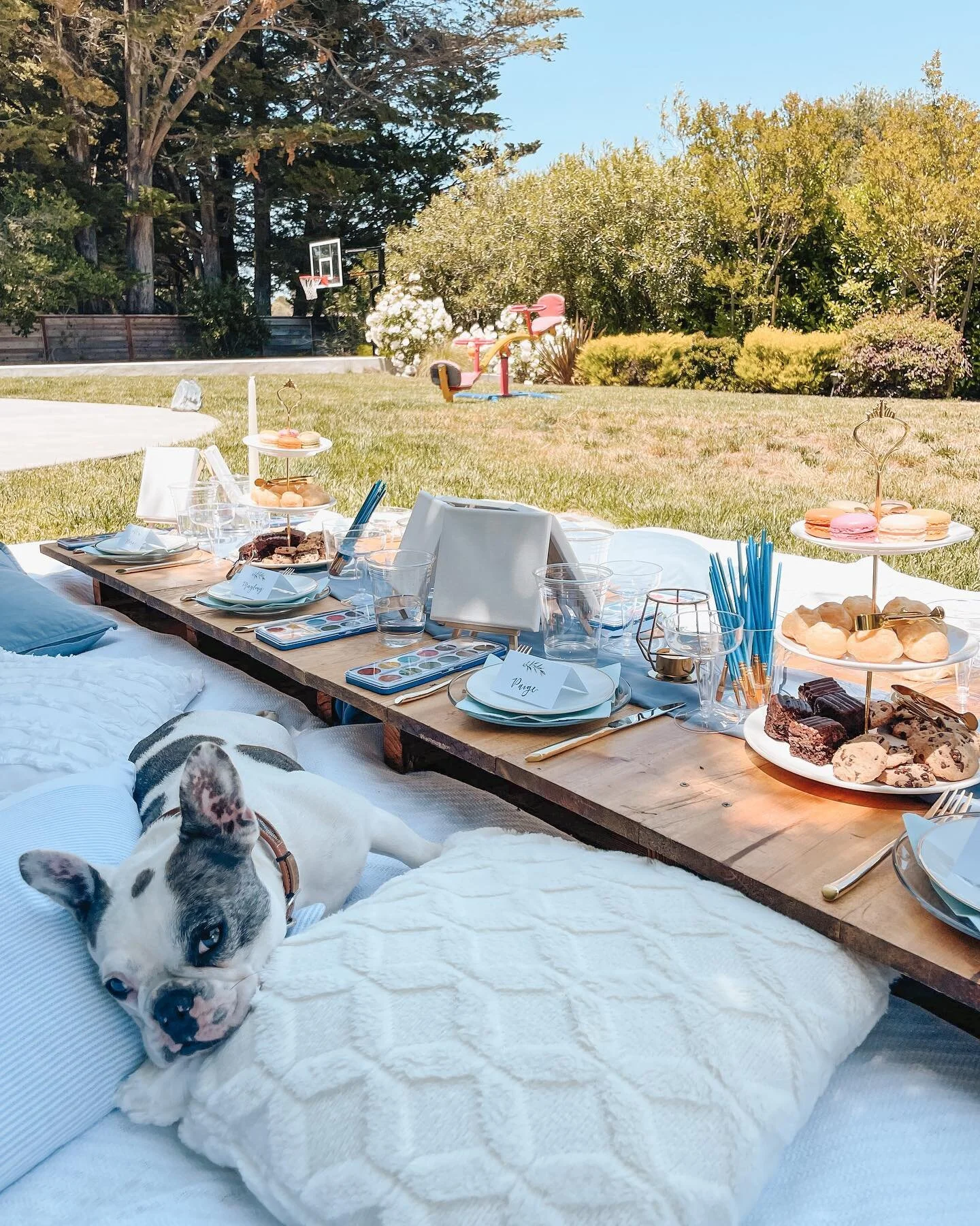 Welcome to Freya’s 10th birthday party π₯³
We hosted Freya and her friends from school for a backyard picnic to celebrate her 10th birthday in blue and white ππ€
We included games, sweet treats, and a watercolor paint activity for each of the