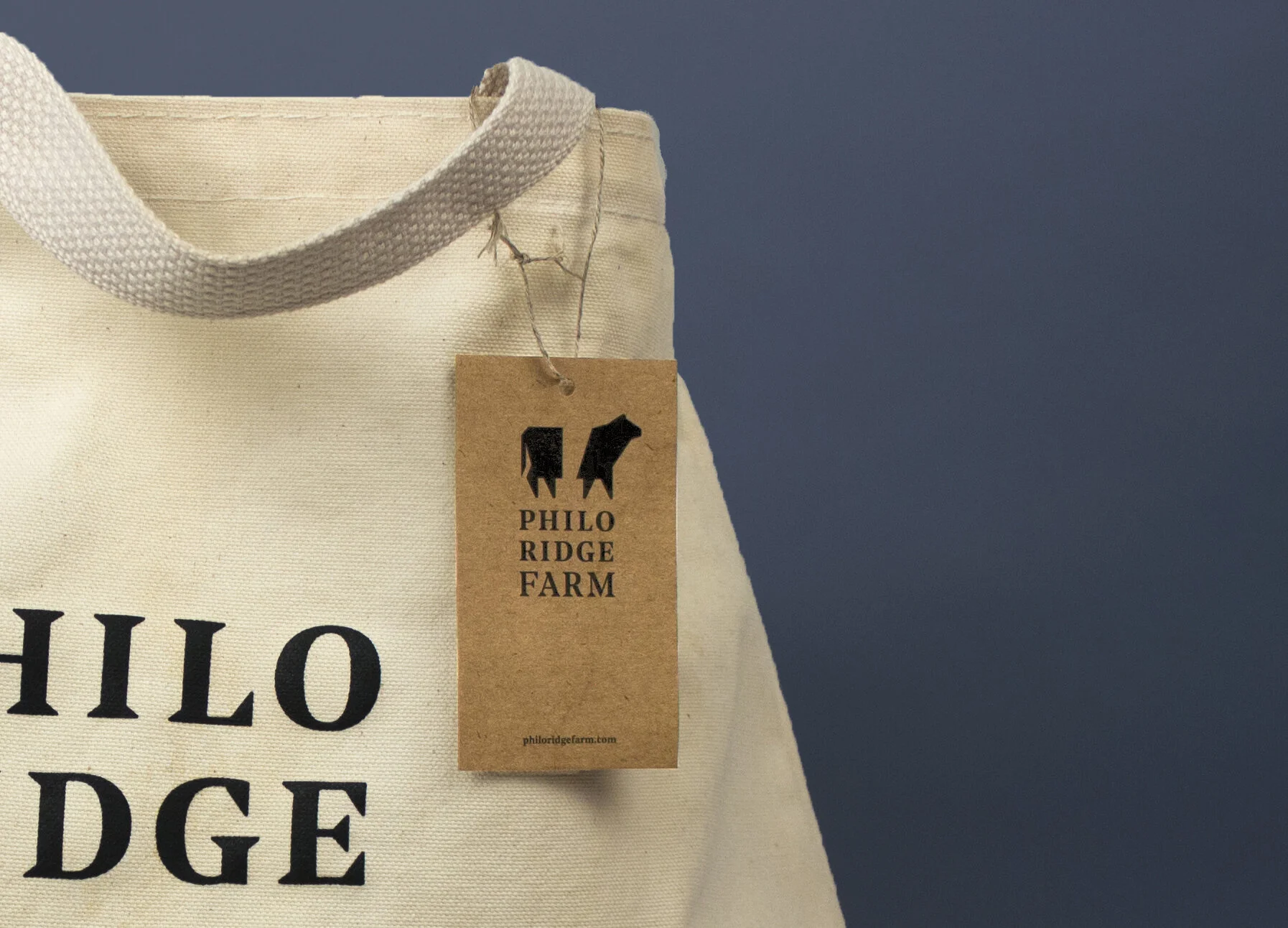 PRF-ToteBagCrop.jpg
