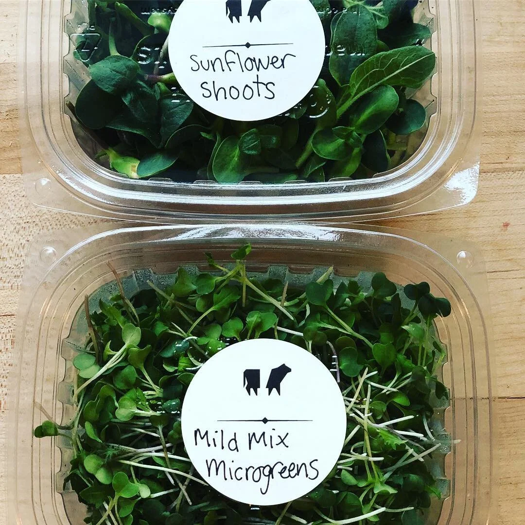 MixedMicroGreens.jpg