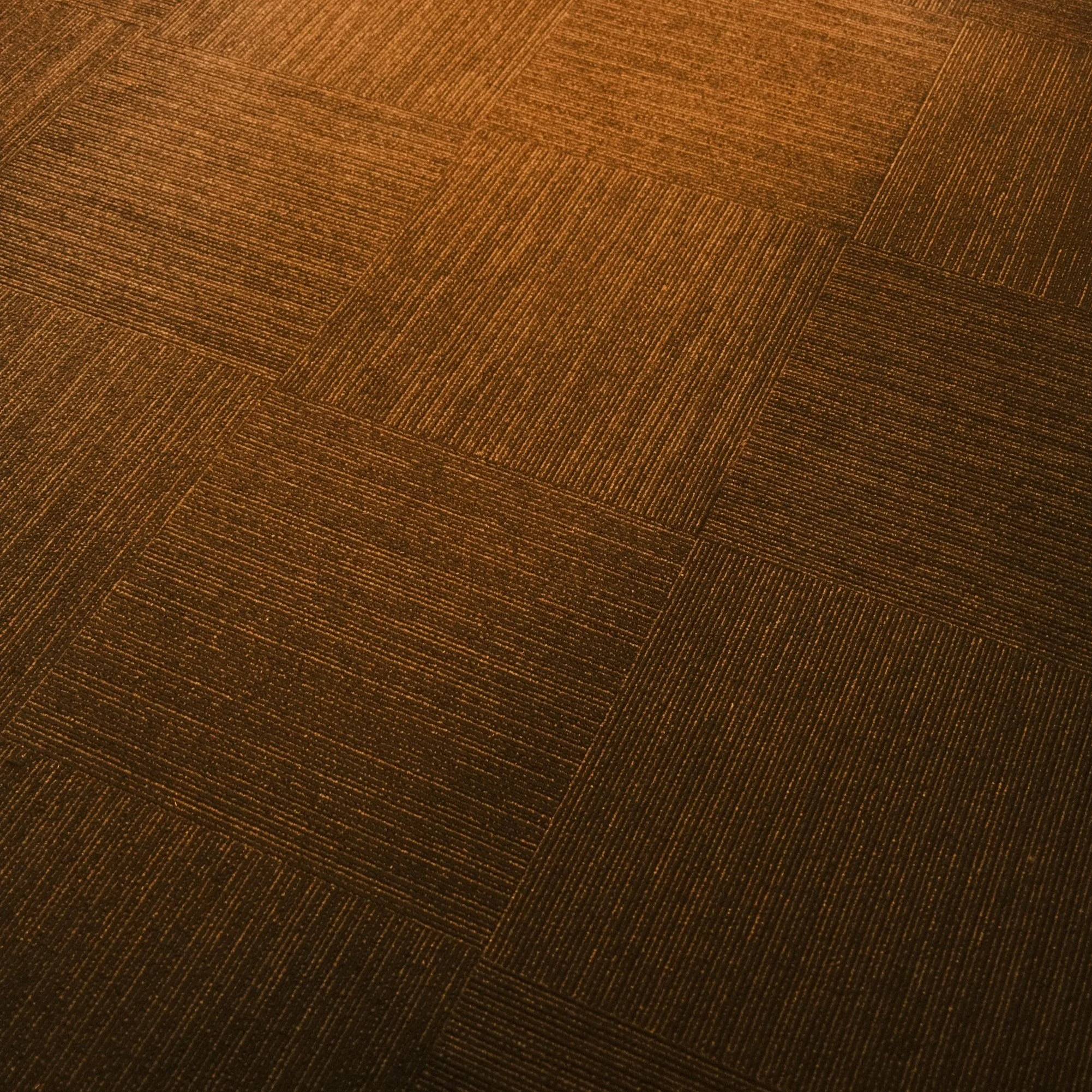 DSCF7379.jpg