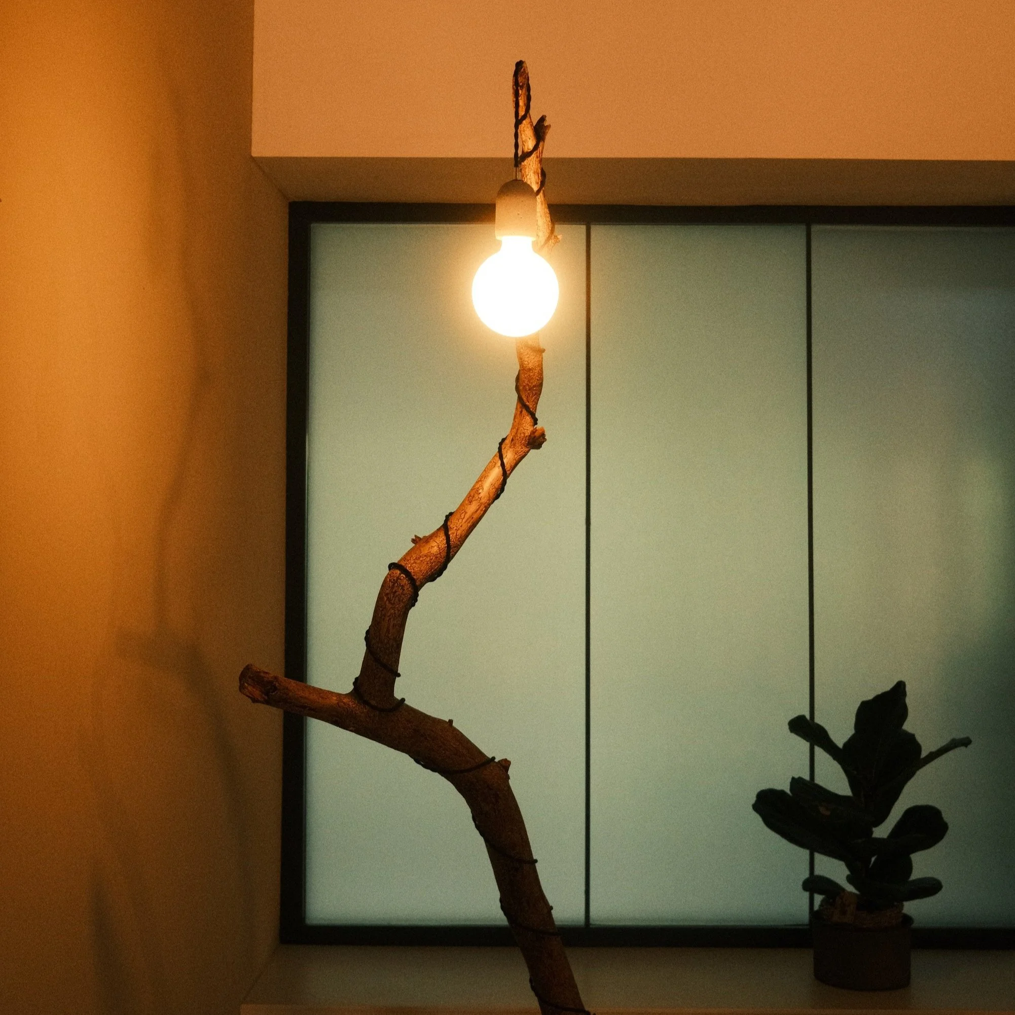 DSCF7367.jpg