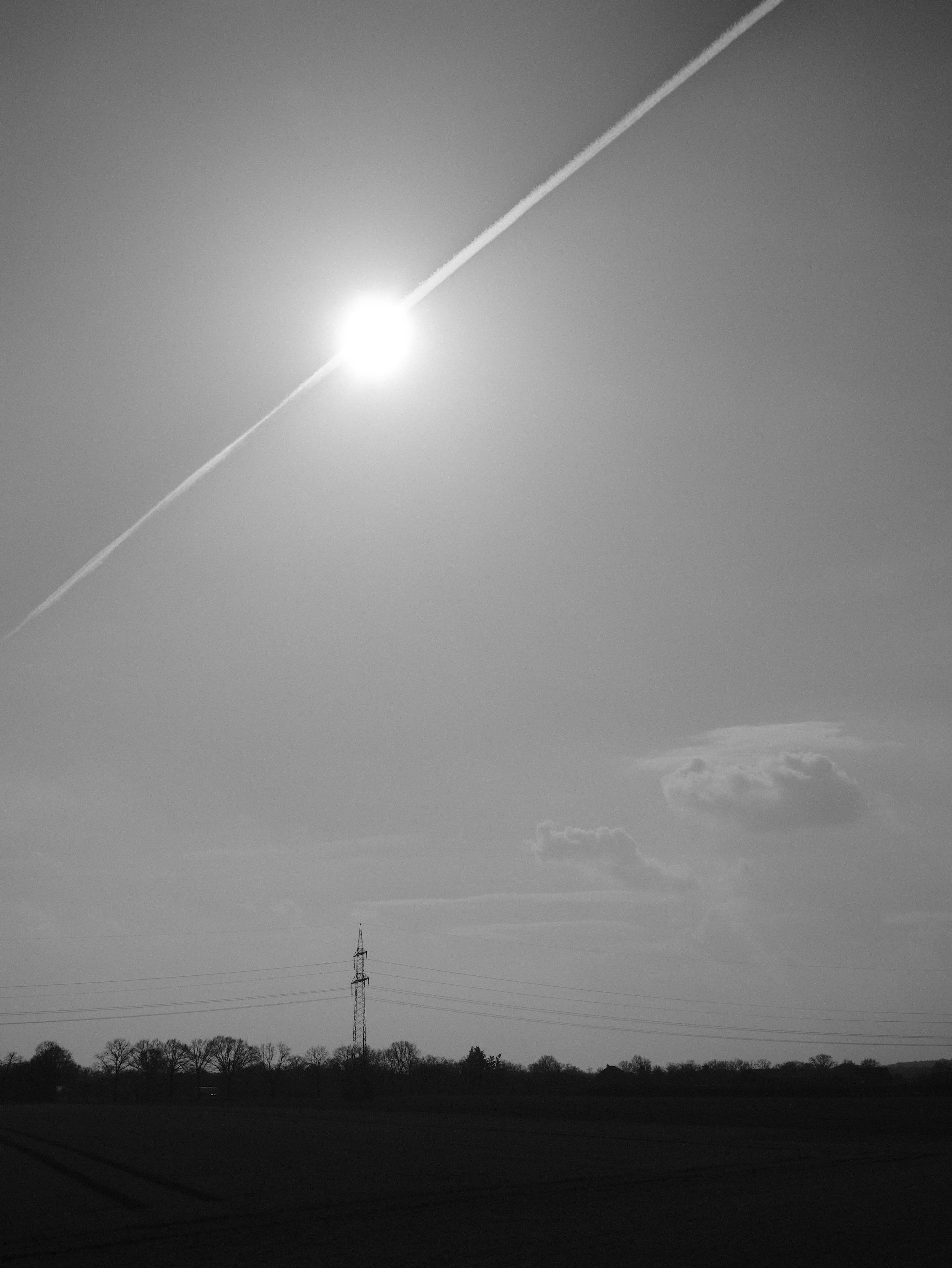 260310_1.JPG