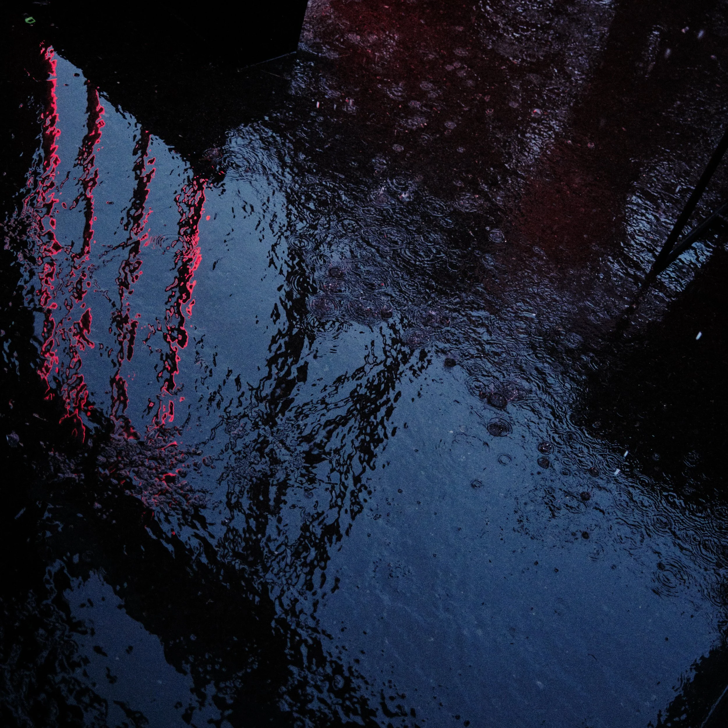 DSCF5040.jpg