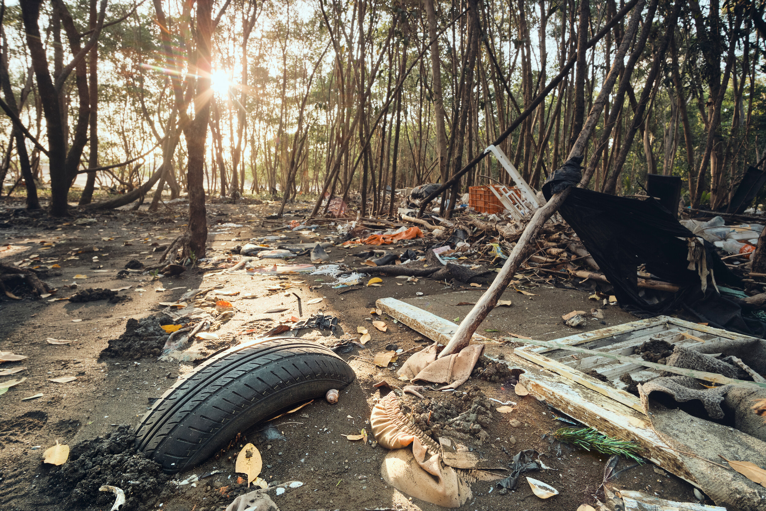 garbage-and-plastic-pollution-on-seashore-UEHALQJ.jpg