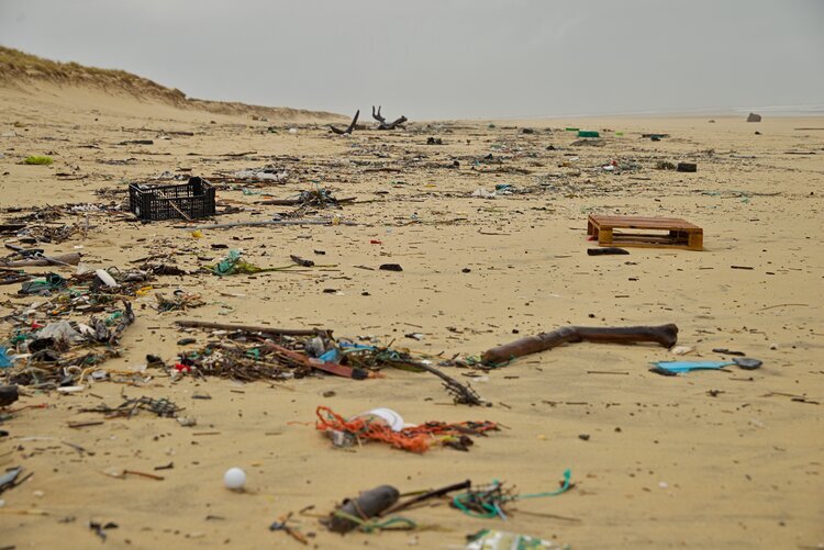 island+landfill.jpg