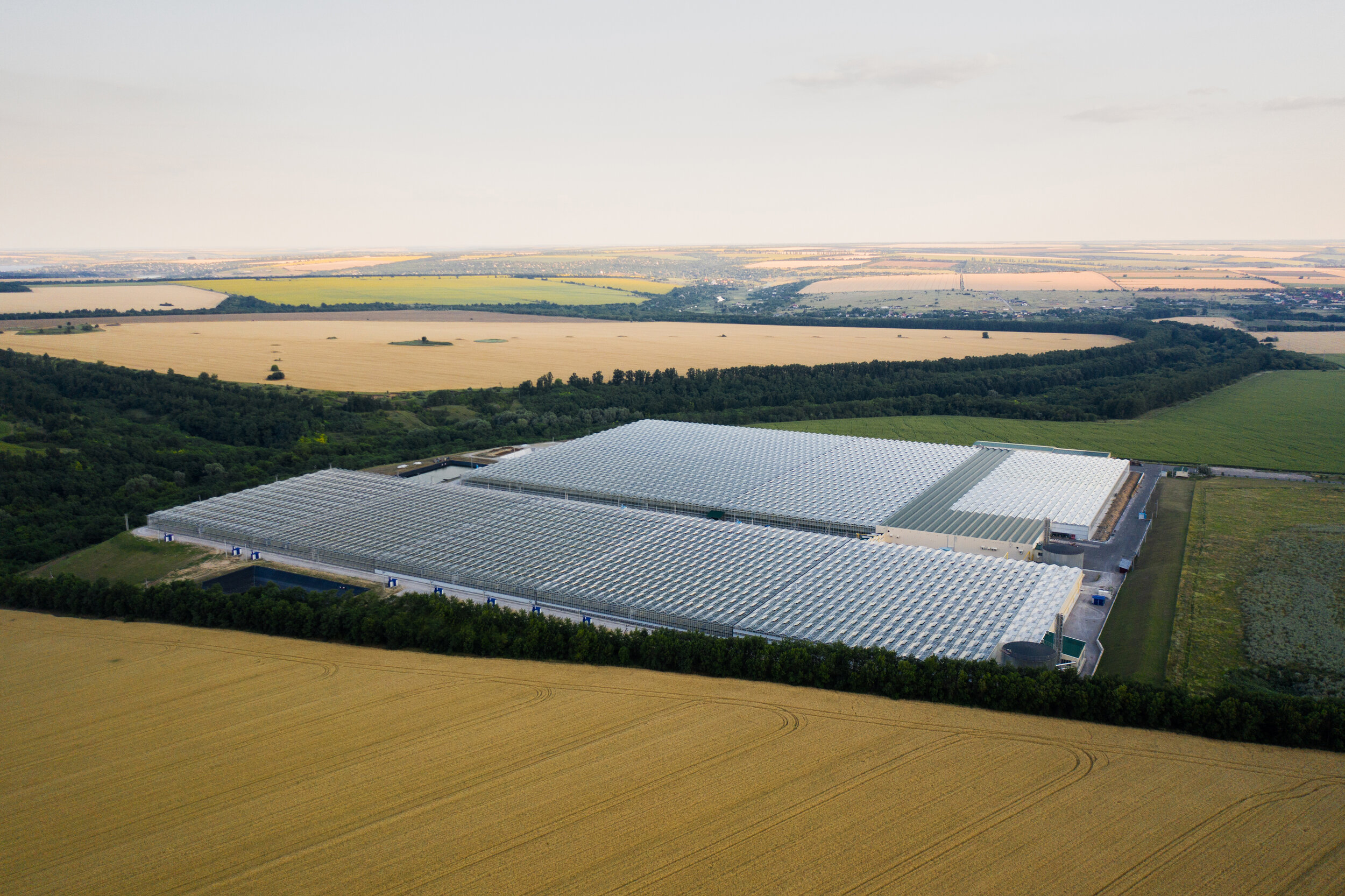 indoor-farming-aerial-top-view-of-glass-greenhouse-26YXD28.jpg
