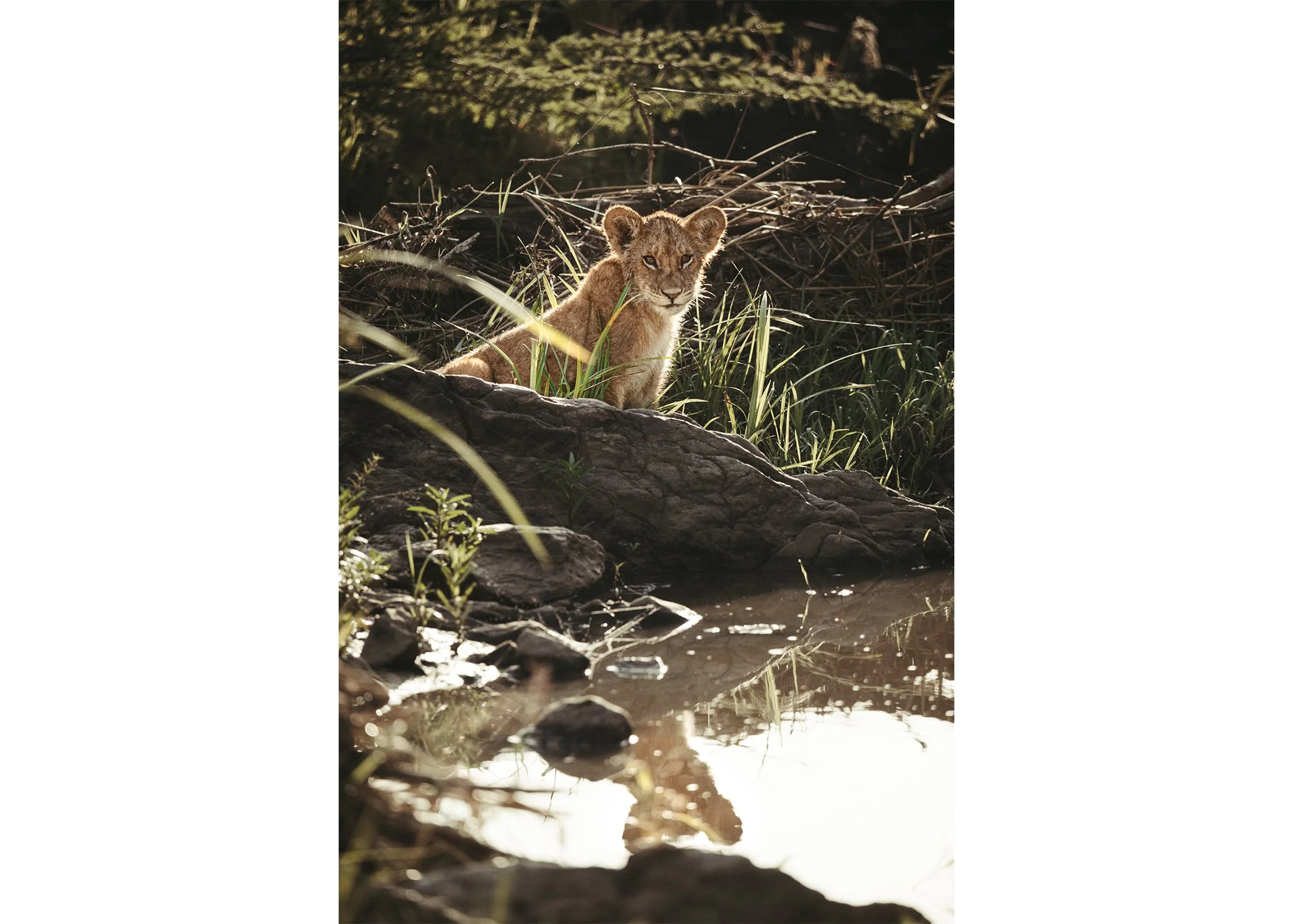 The Crown Passed Down