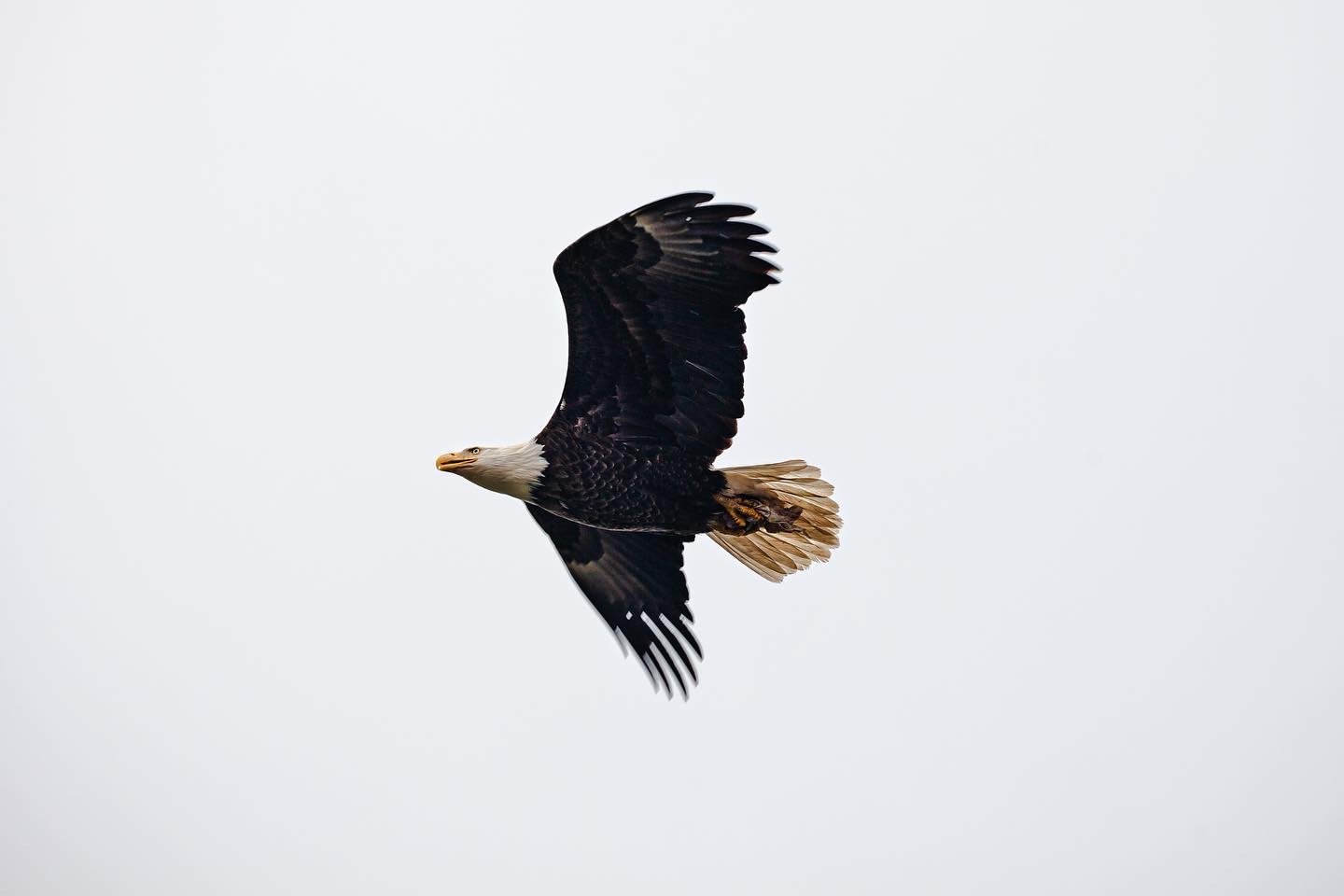 B2041255-2AA1-4474-BF88-416A72B6E0C1.jpg