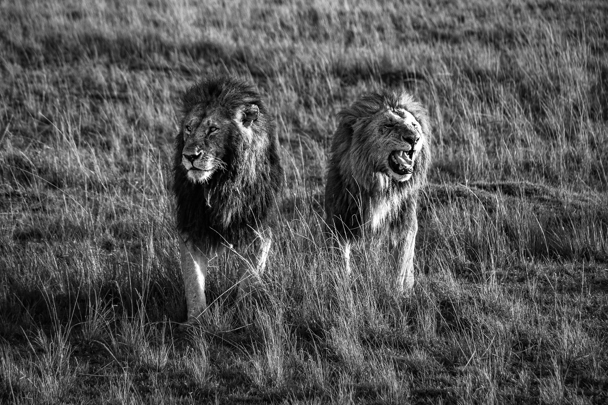 img_1674.jpg-2 copy 2.JPG