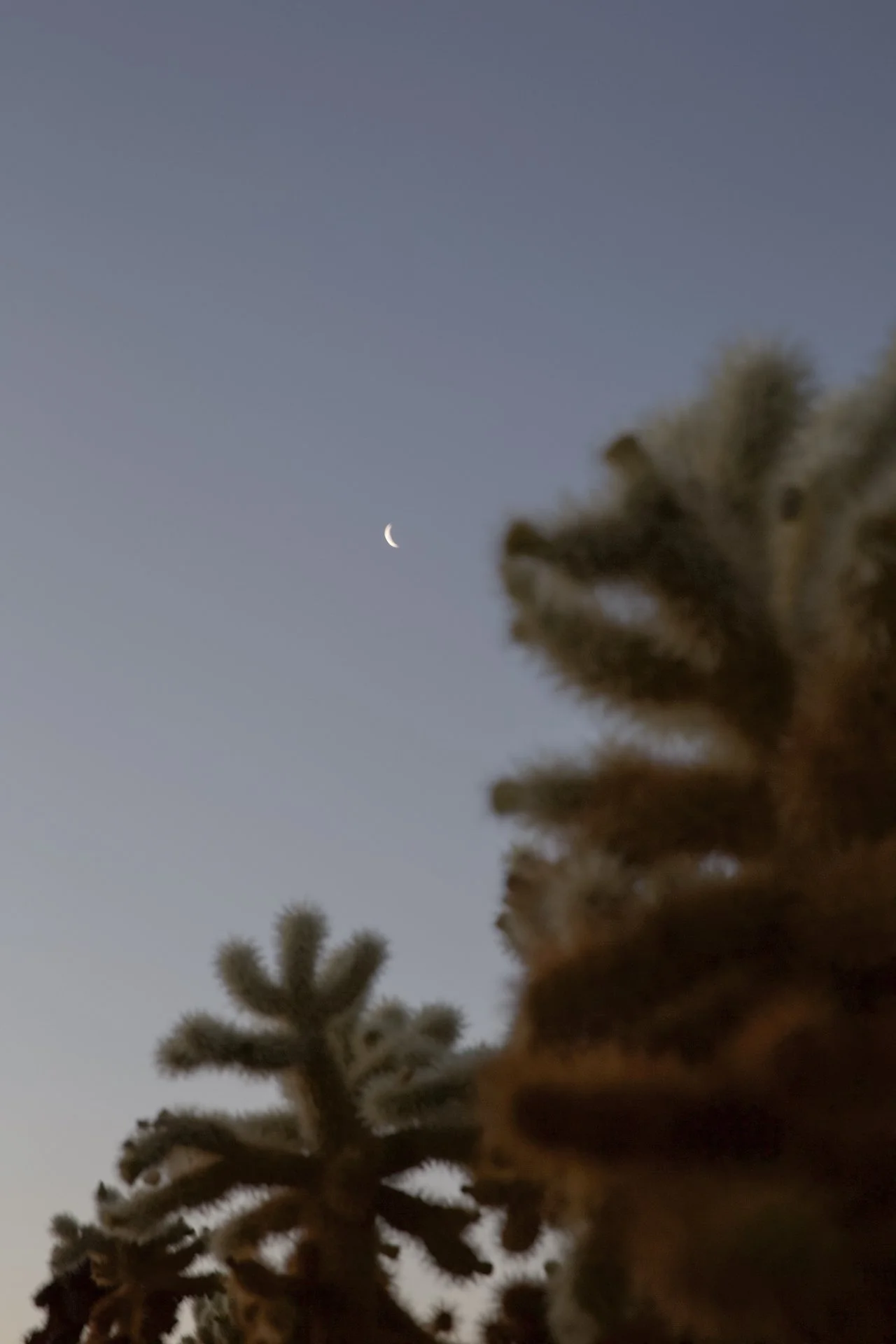 35BD7F12-36C2-499E-AA10-02CDA77520B2_1_100_o.jpg