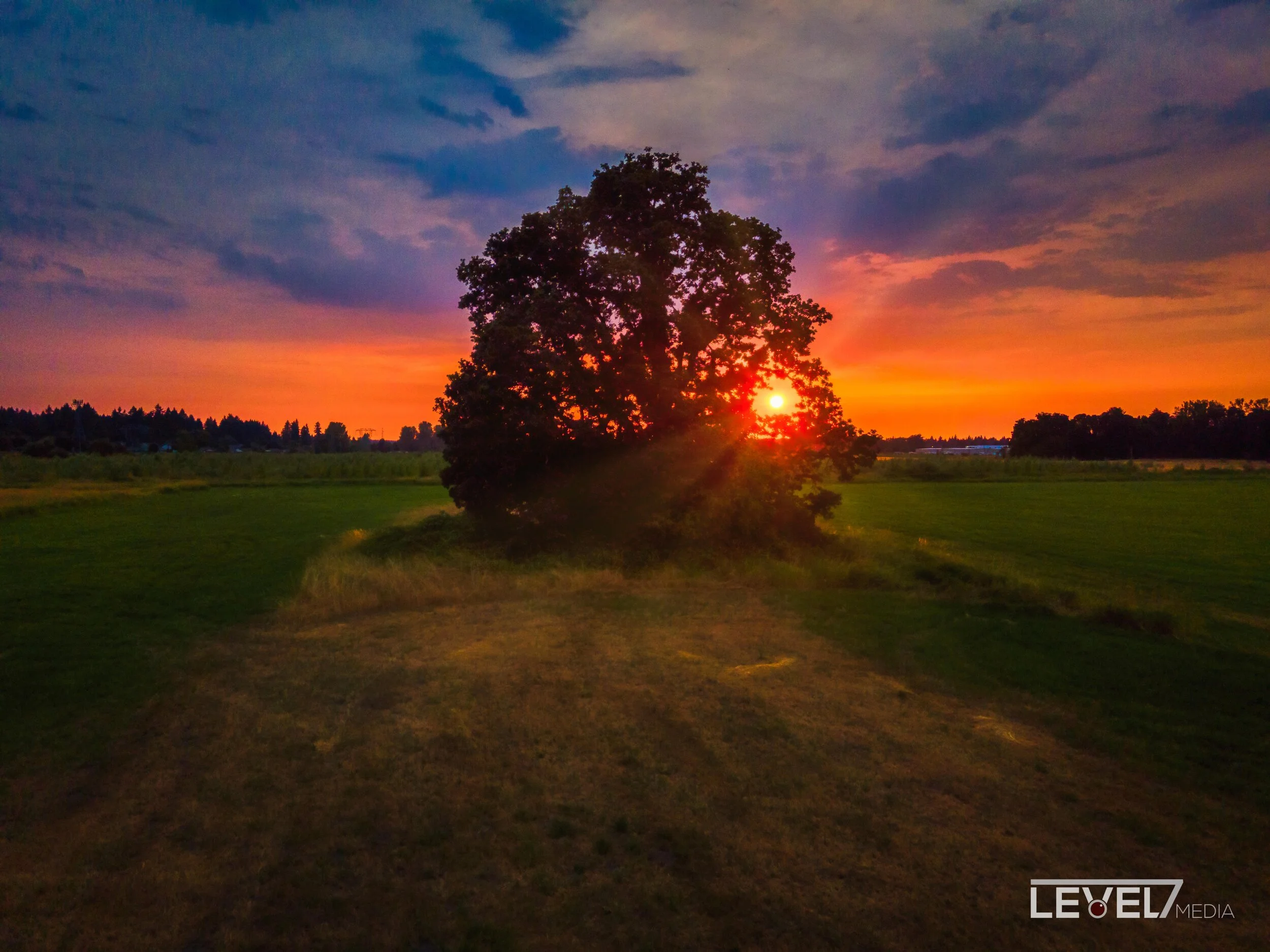 Oaktree Sunset.jpg