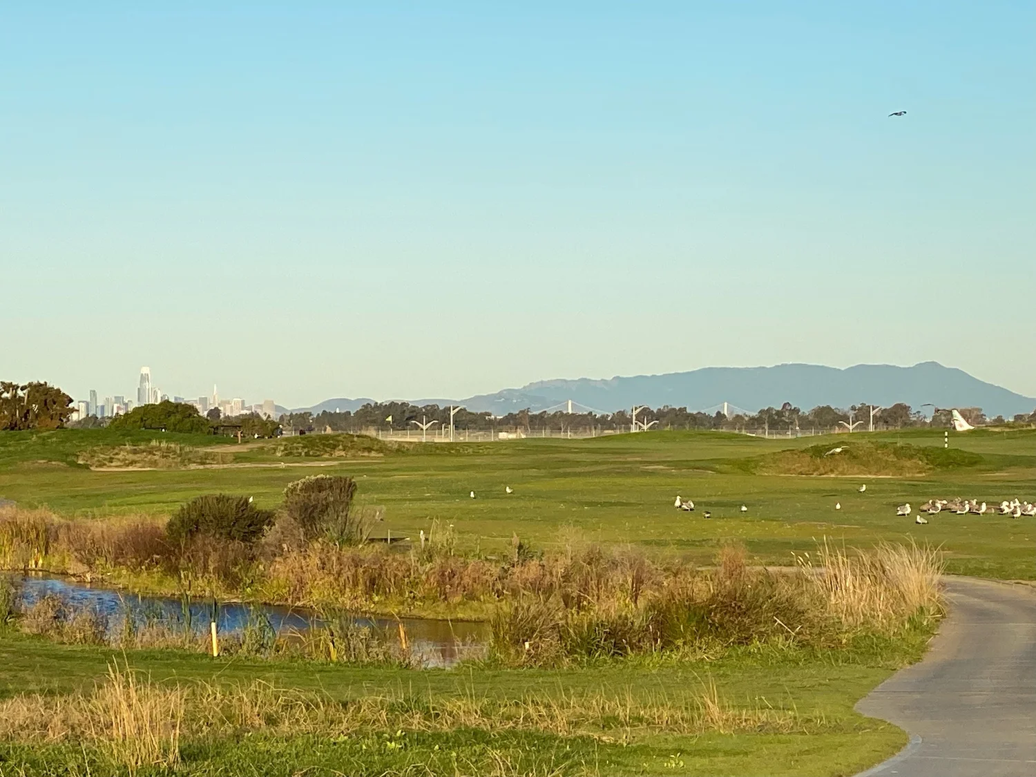 Metropolitan Golf Club