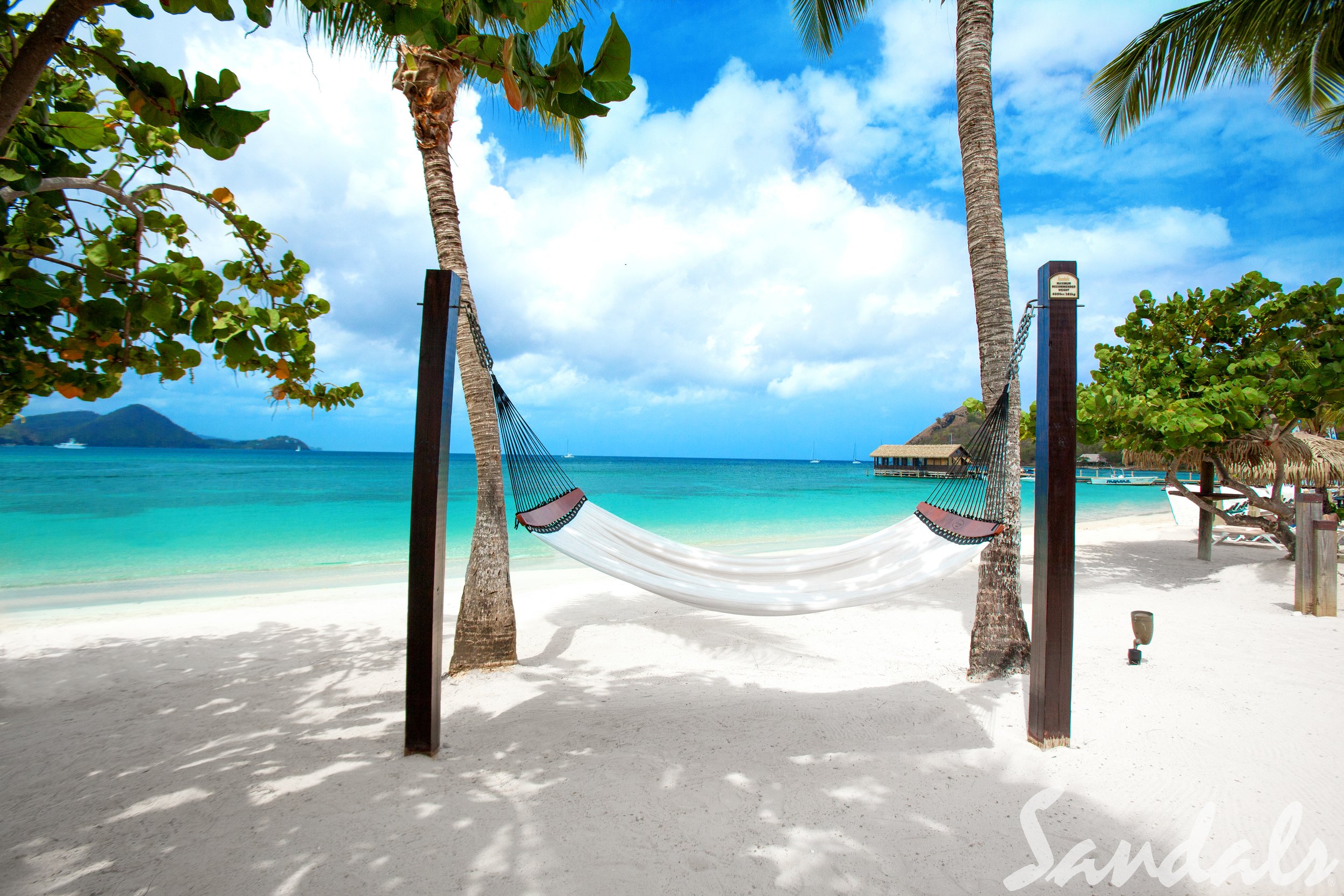 hammock.jpg