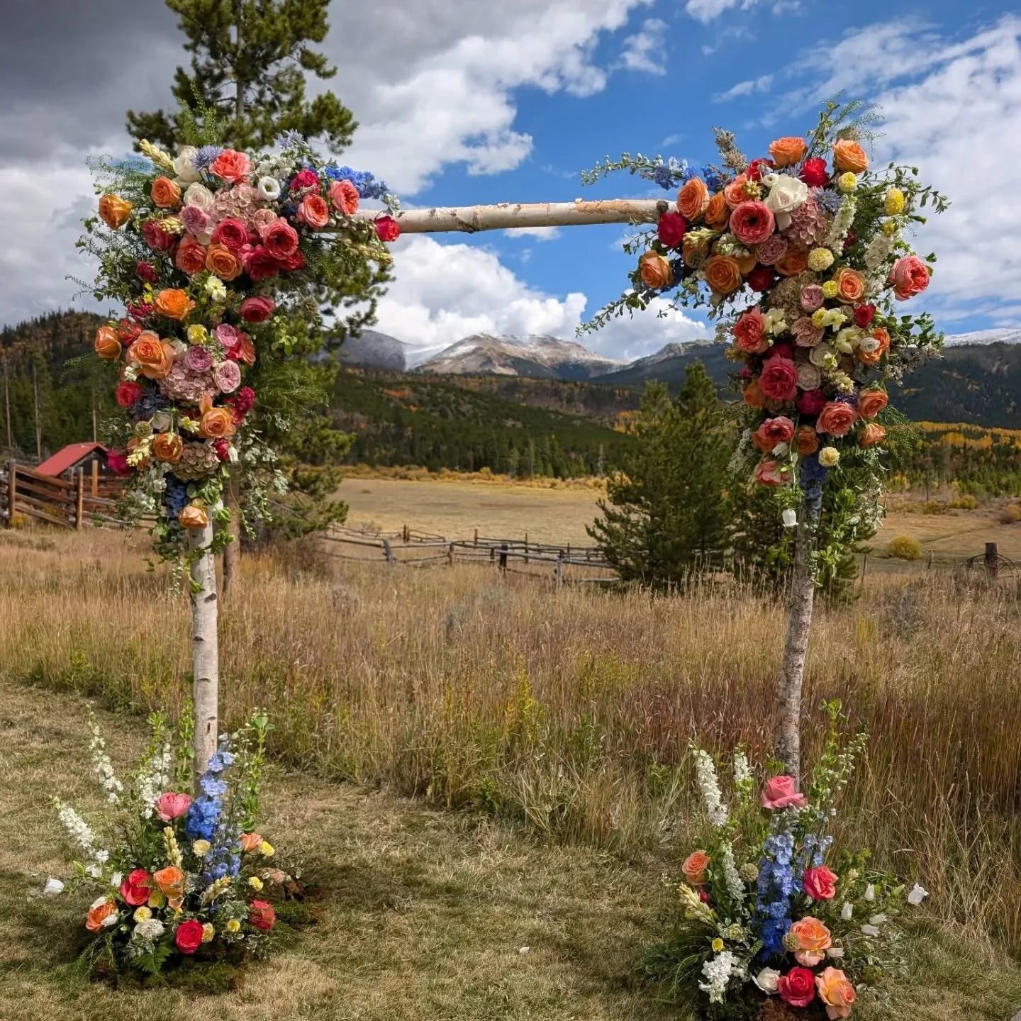 We went heavy (aggressive) on these garden roses because if we aren&rsquo;t outshining the Colorado sun, what are we even doing? These bright beauties are thriving, despite the mountain wind&rsquo;s best efforts to turn our arch into a very expensive
