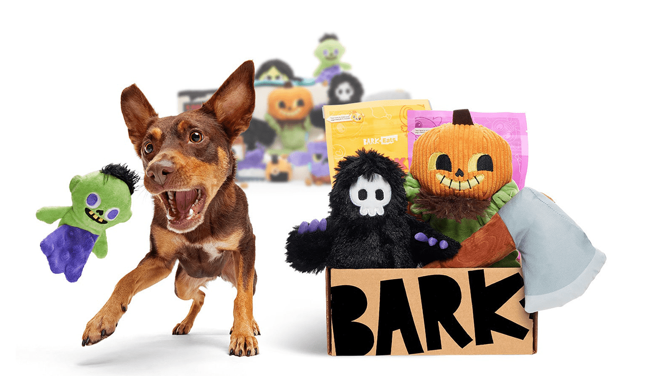 Screen Shot 2023-10-05 at 5.31.27 PM.png