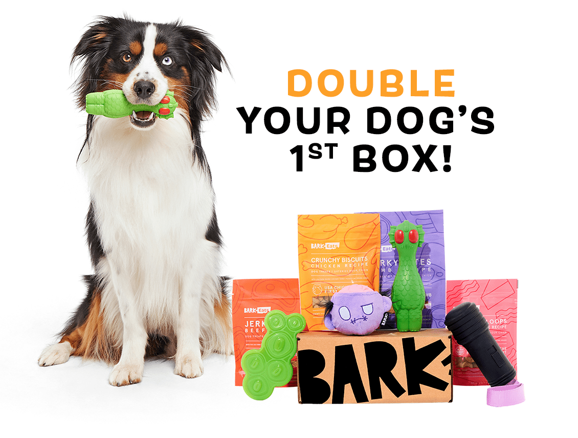 Screen Shot 2023-10-05 at 5.31.44 PM.png