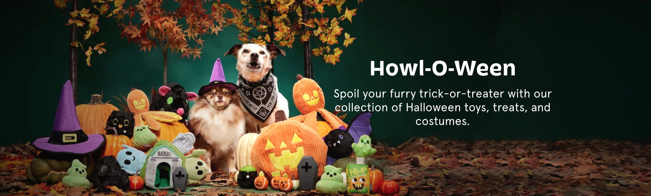 Screen Shot 2023-10-05 at 5.28.12 PM.png