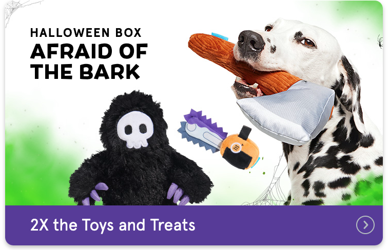 Screen Shot 2023-10-05 at 5.31.15 PM.png