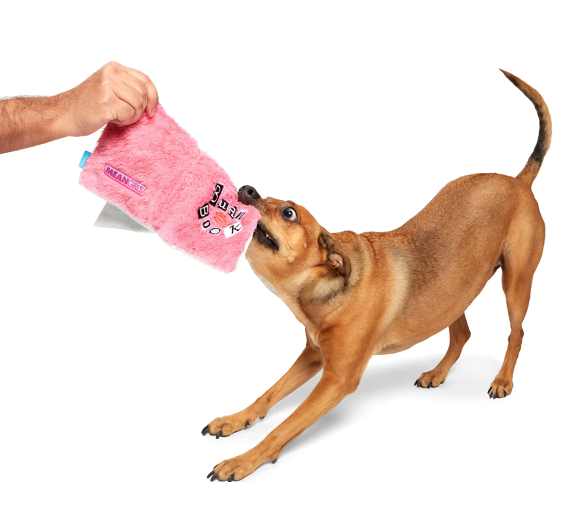 Screen Shot 2023-10-05 at 5.45.11 PM.png