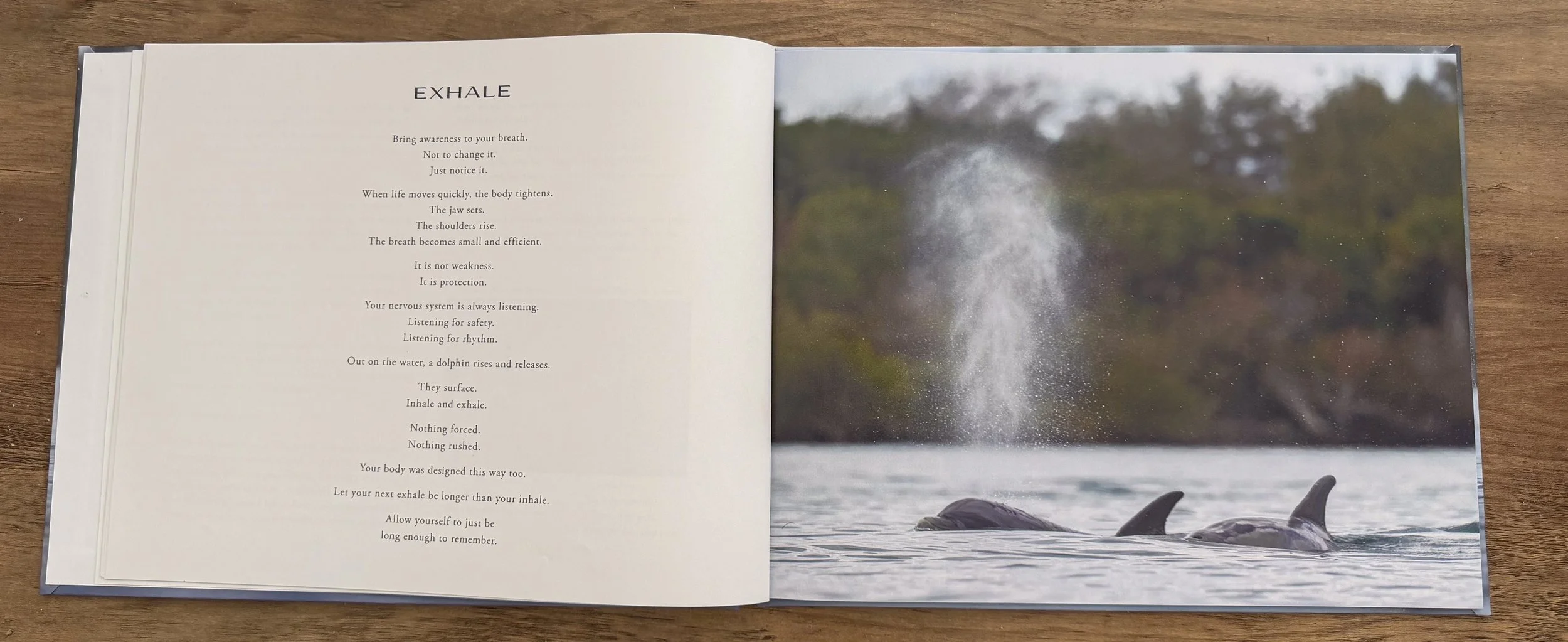 BOOK FOR WEBSITE .jpg