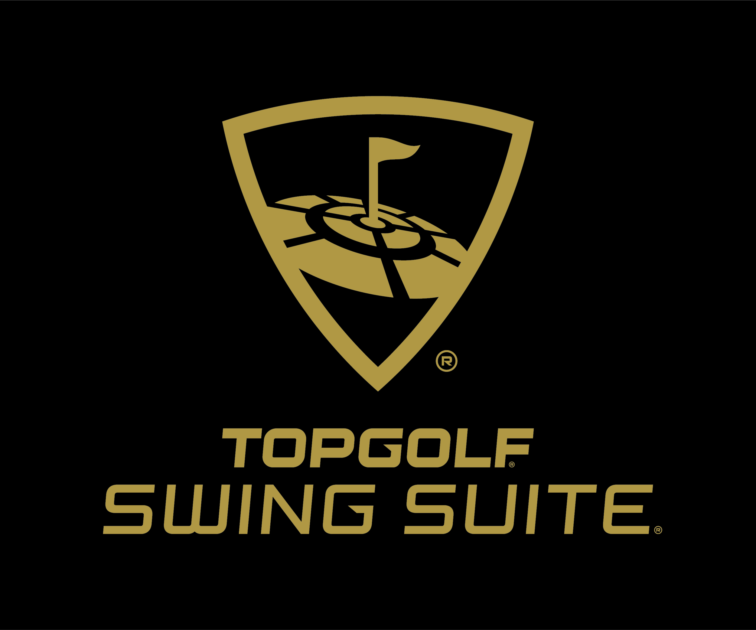 Topgolf Swing Suite — Book Now — Lot 12