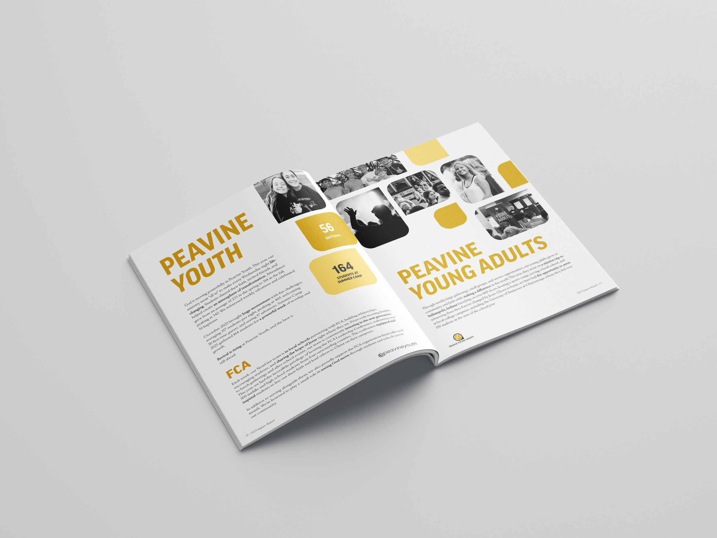 Annual Report_pg6.png