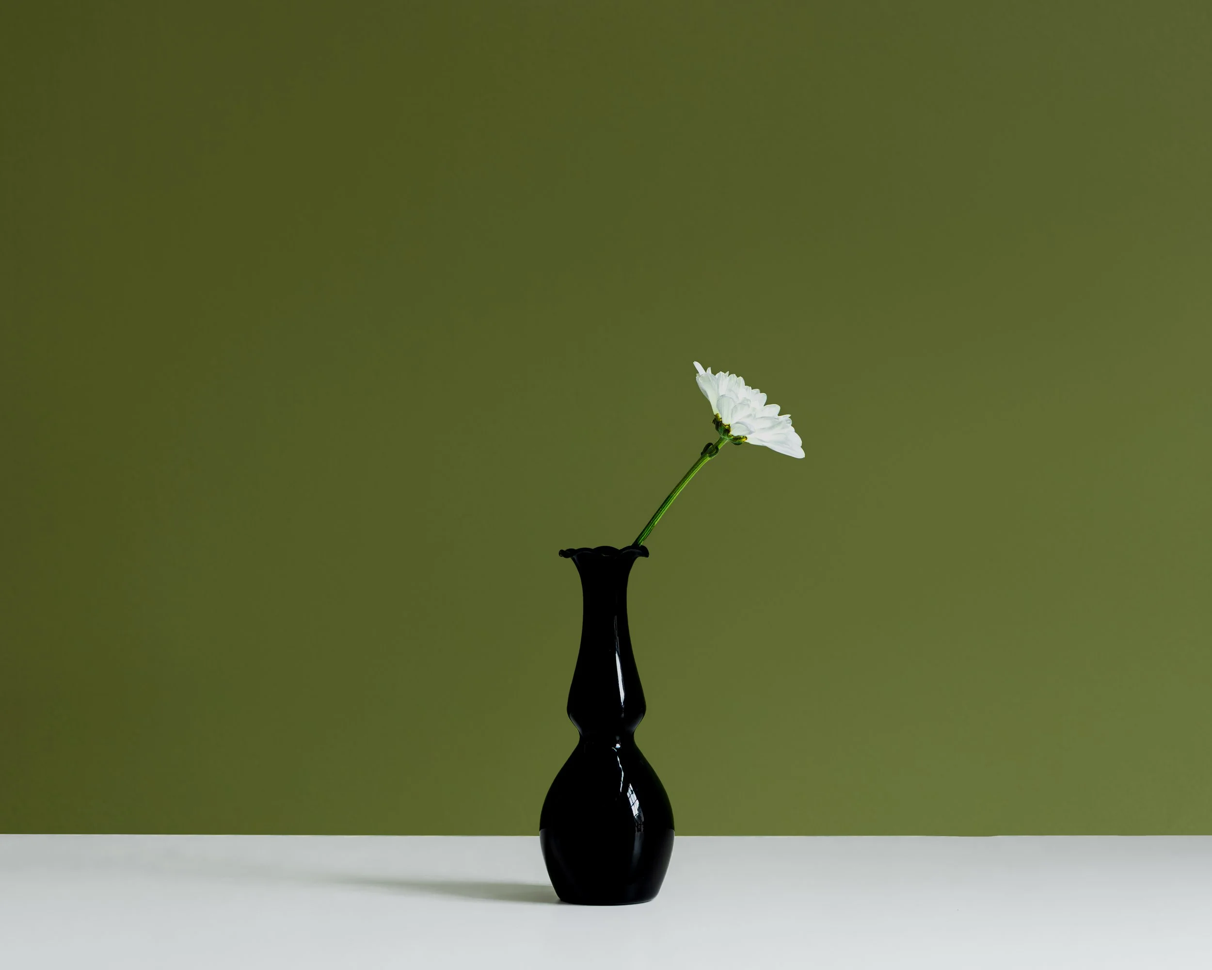 THE FENIMORE FLOWERS