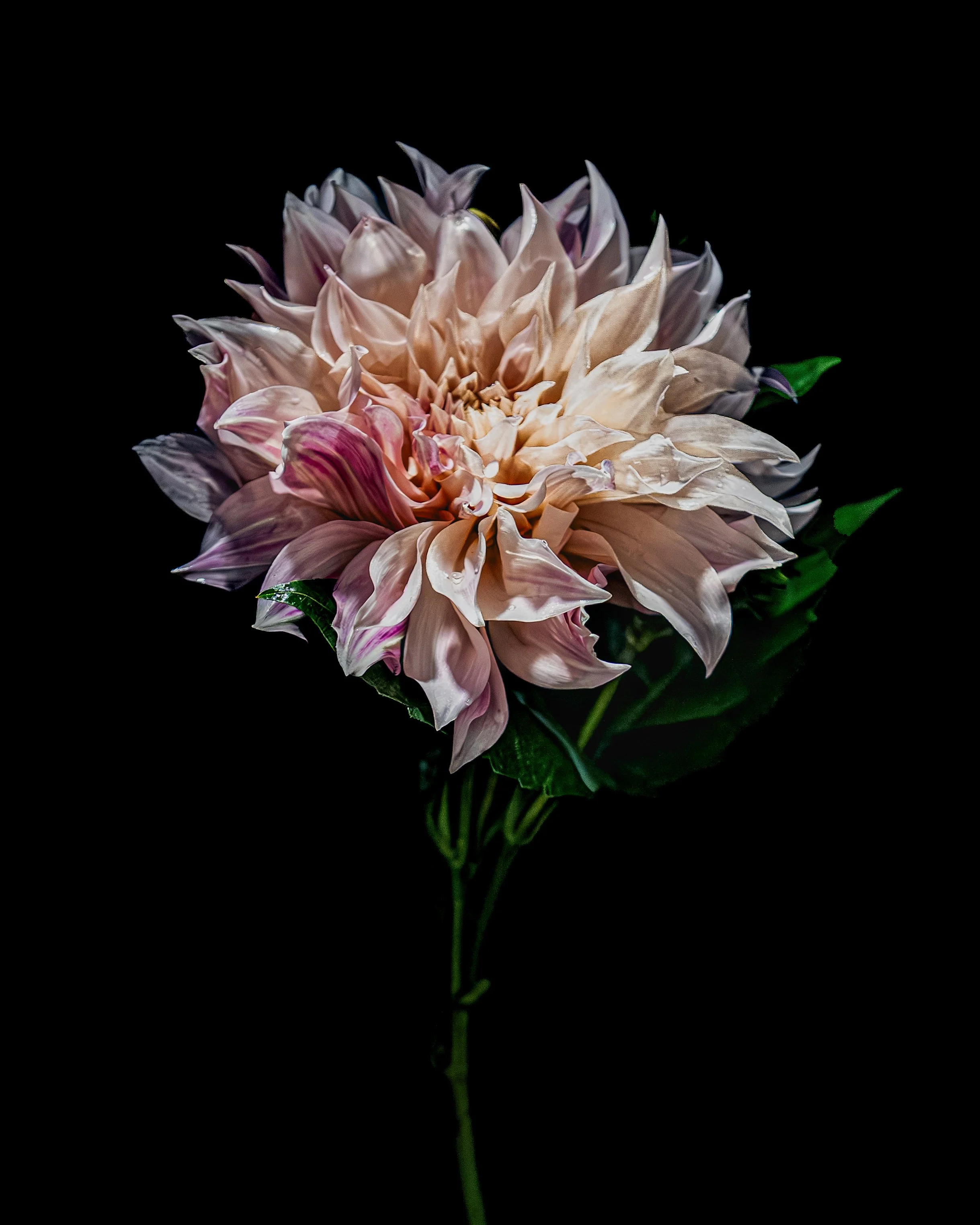 APRIL_FLOWERS IN WATER CALENDAR_4x5.jpg