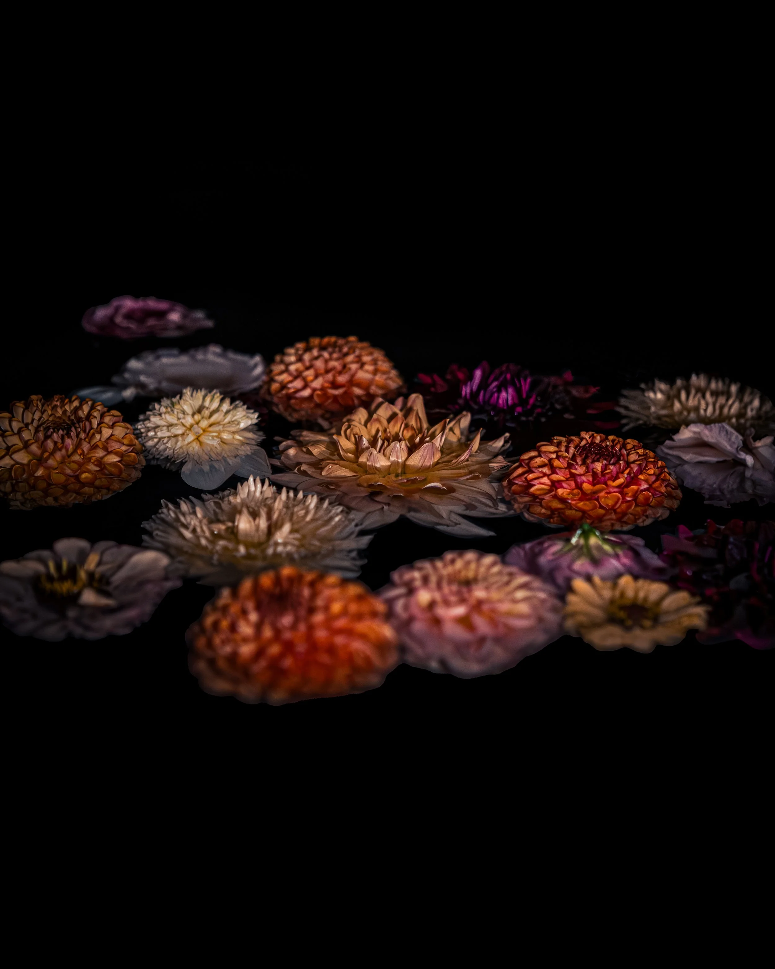 JANUARY_FLOWERS IN WATER CALENDAR_4x5.jpg