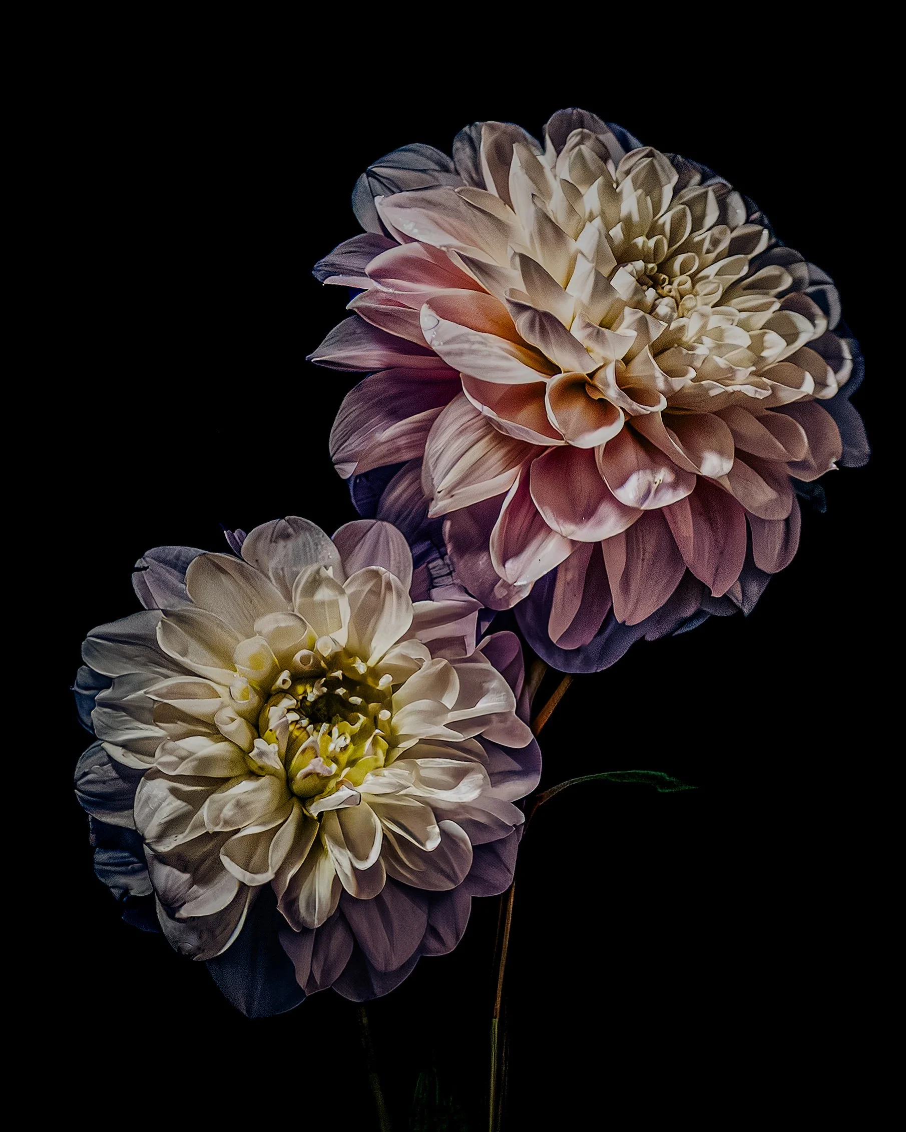 JUNE_FLOWERS IN WATER CALENDAR_4x5jpg.jpg