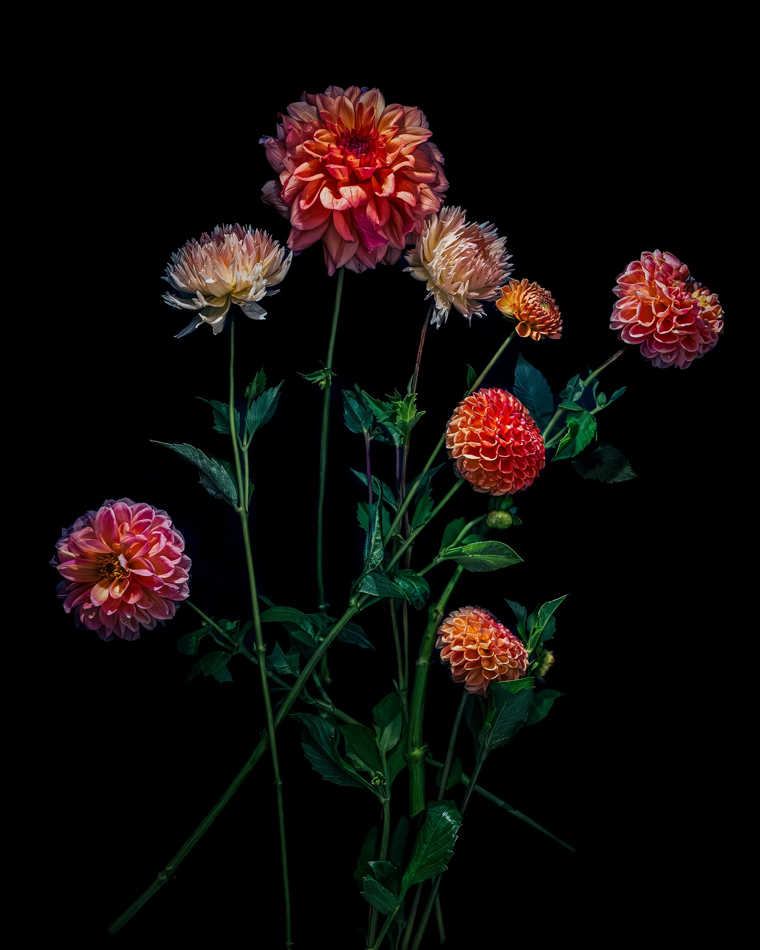 MAY_FLOWERS IN WATER CALENDAR_4x5.jpg