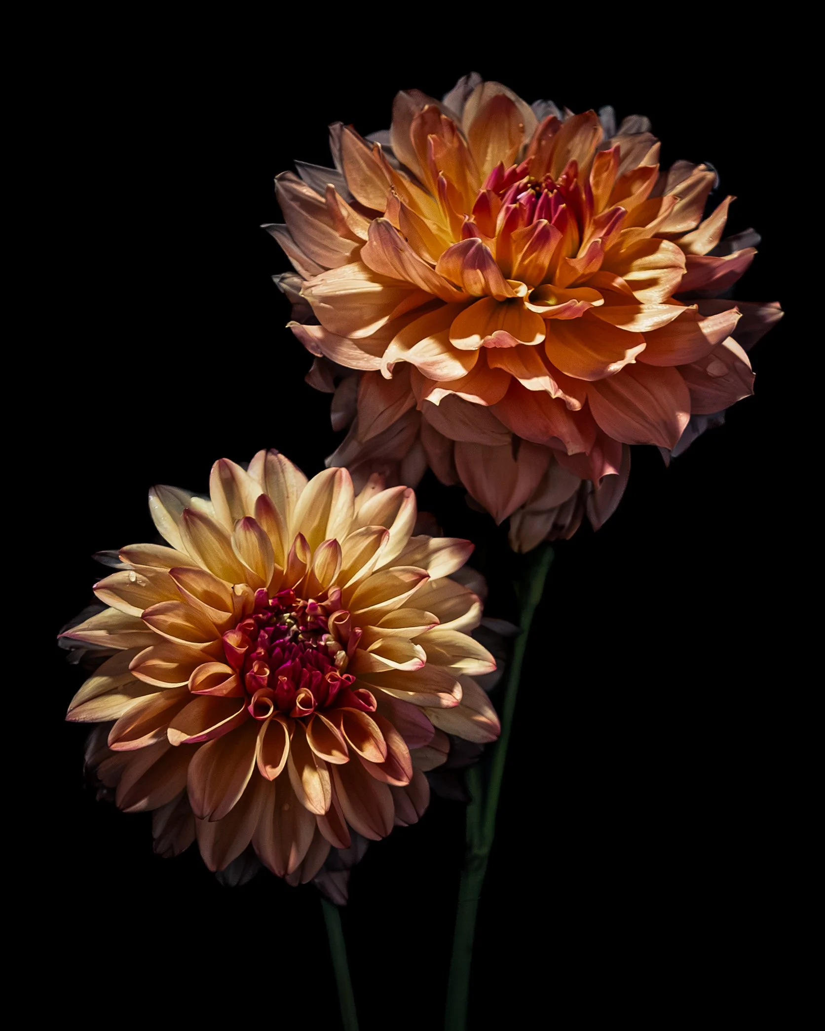 OCTOBER_FLOWERS IN WATER CALENDAR_4x5.jpg