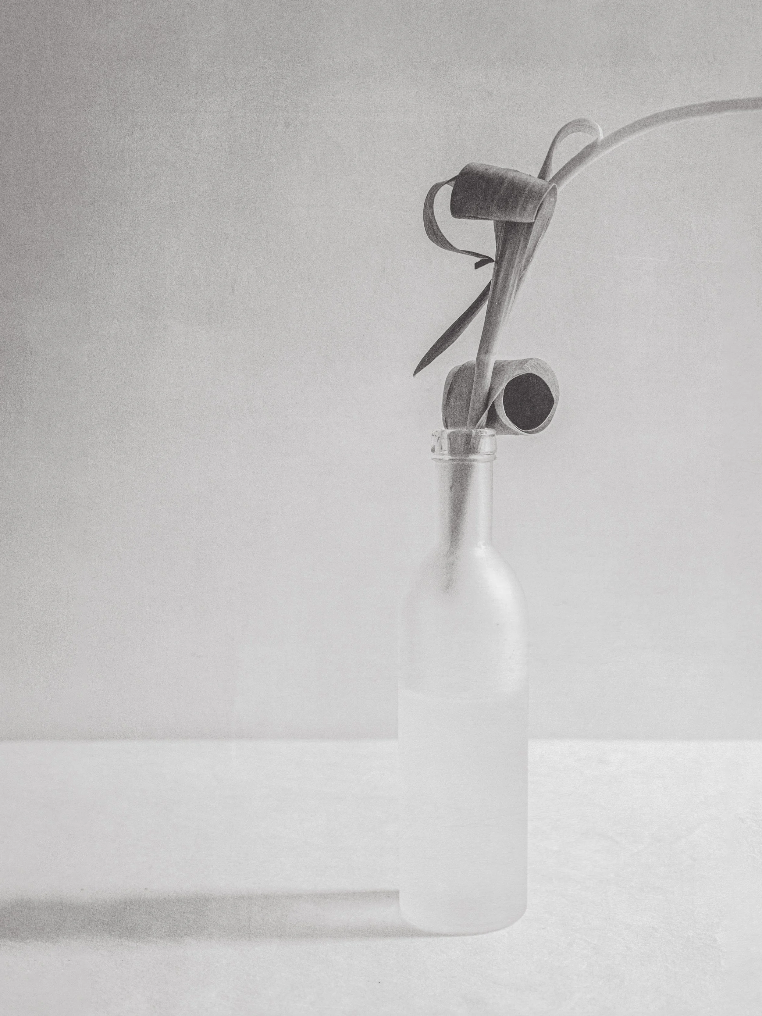 Abloom Finals-10.jpg