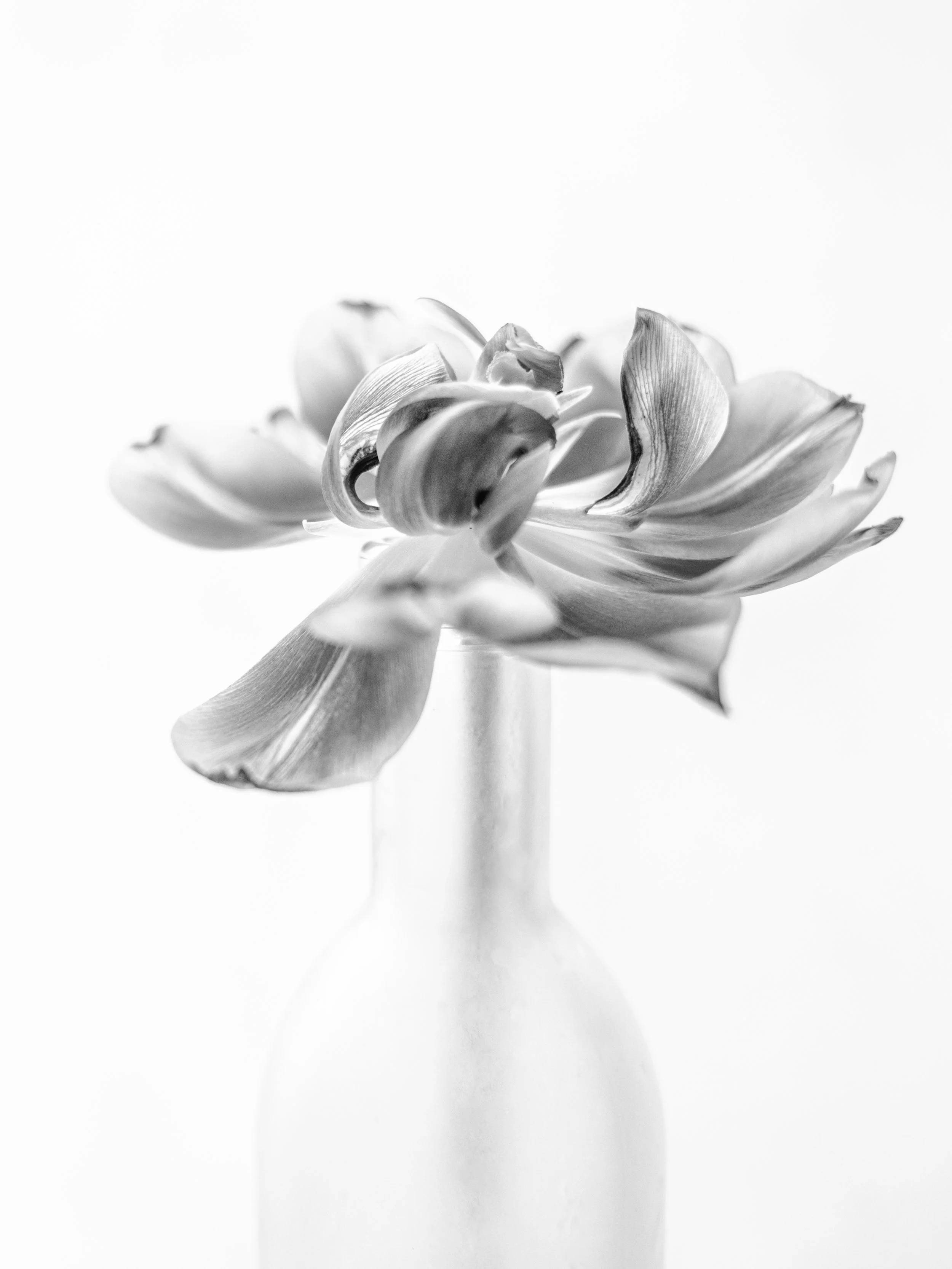 Abloom Finals-11.jpg