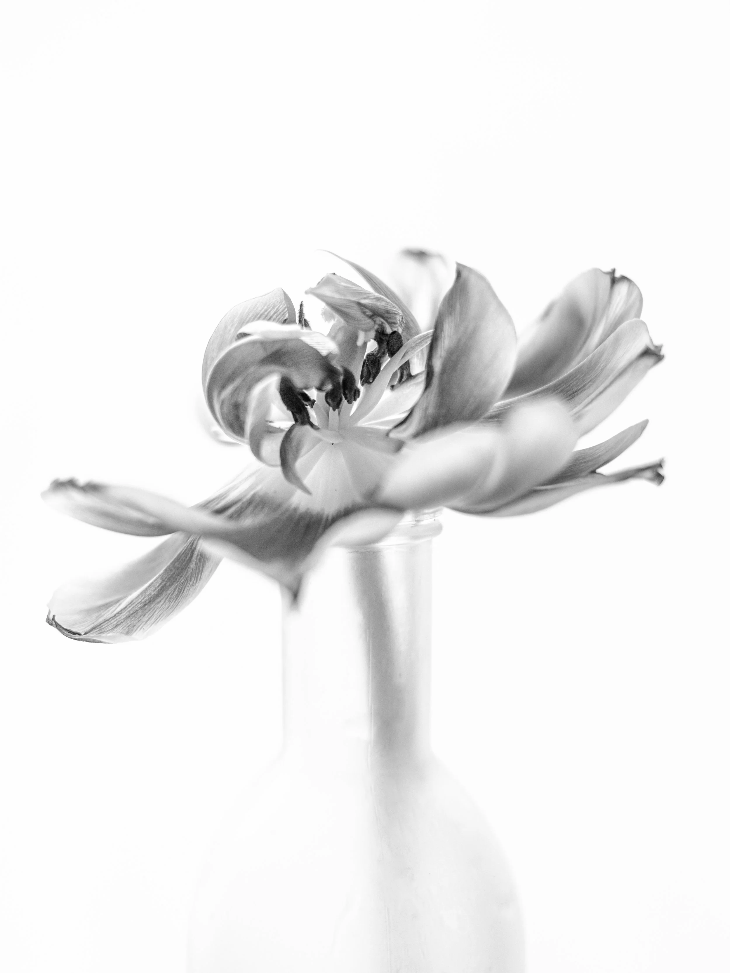 Abloom Finals-12.jpg