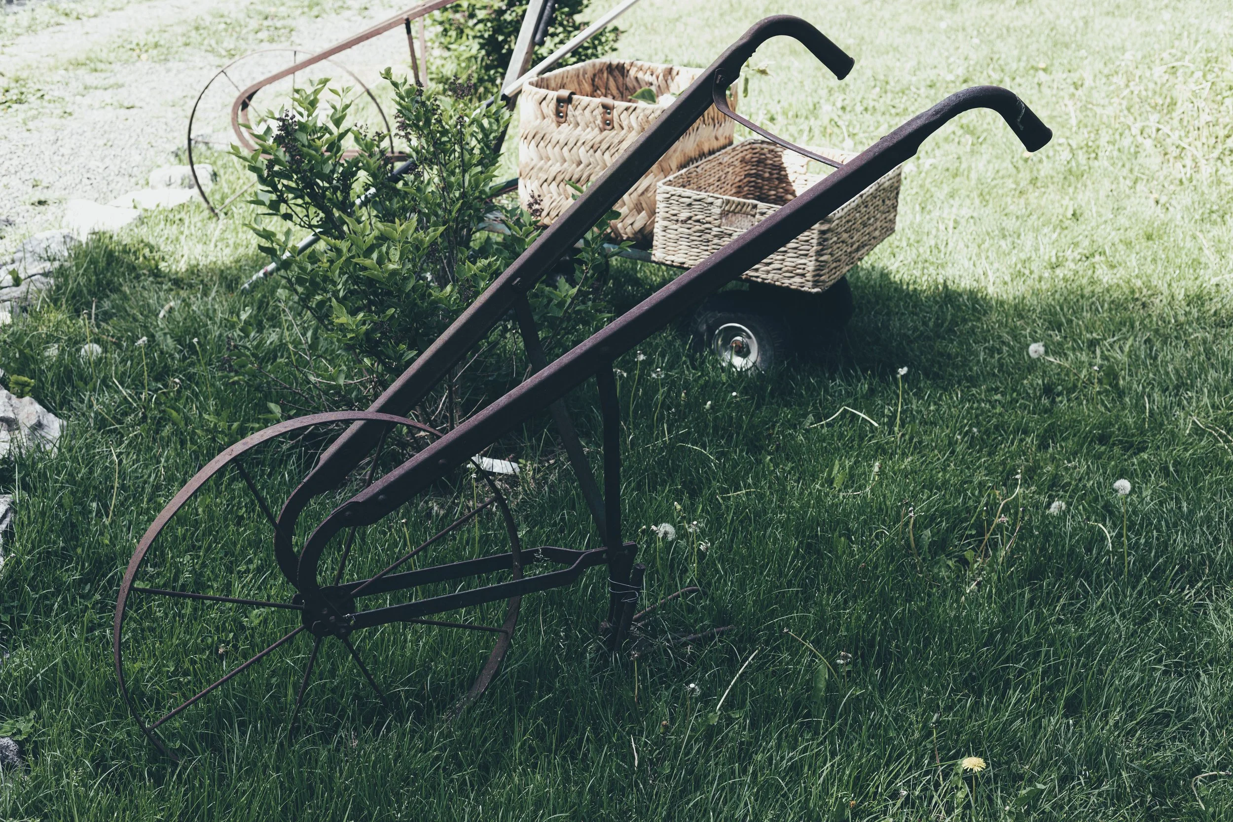 Cherry Valley Lilac Farm-Christine Harris-30.jpg