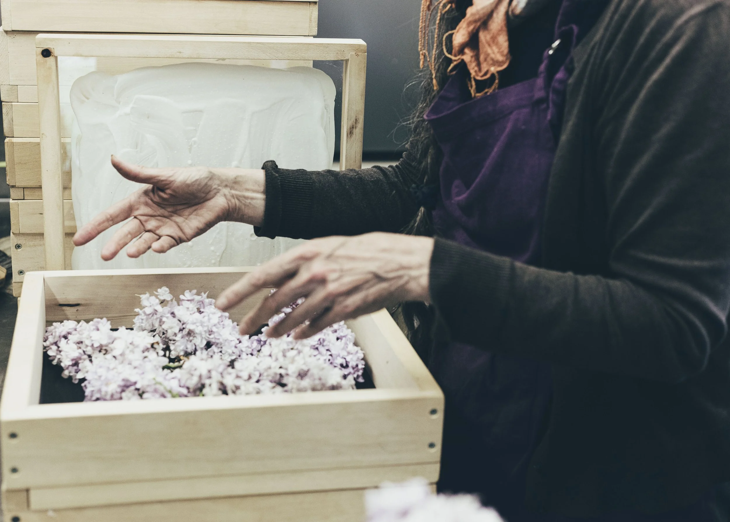 Cherry Valley Lilac Farm-Christine Harris-39.jpg