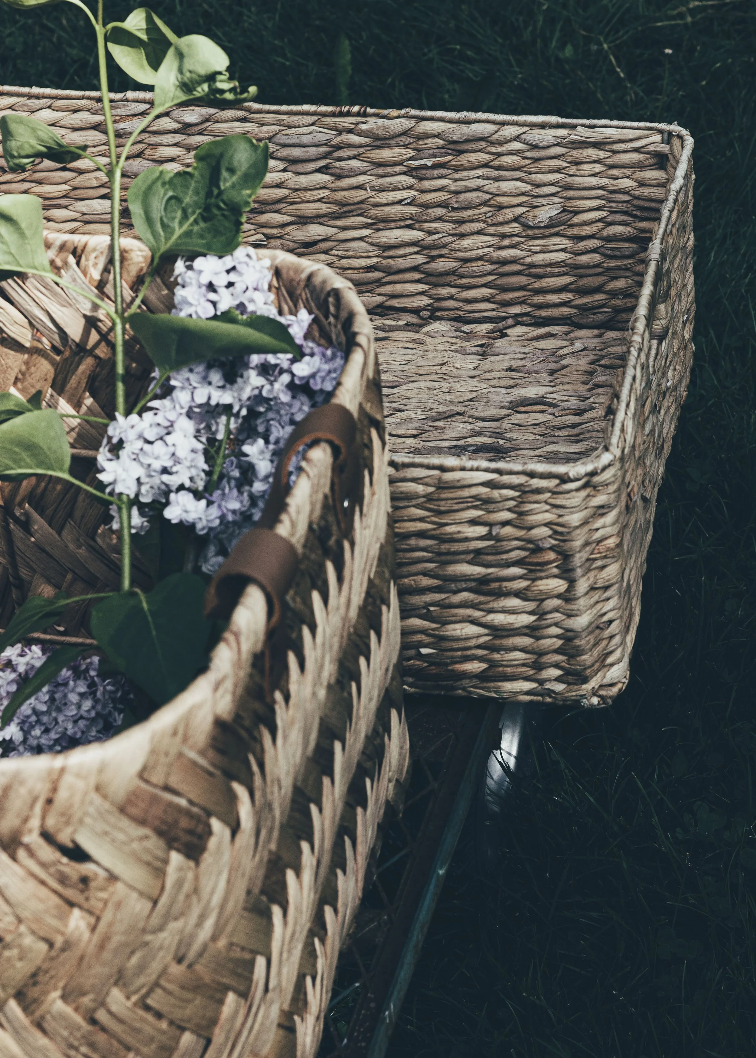 Cherry Valley Lilac Farm-Christine Harris-31.jpg