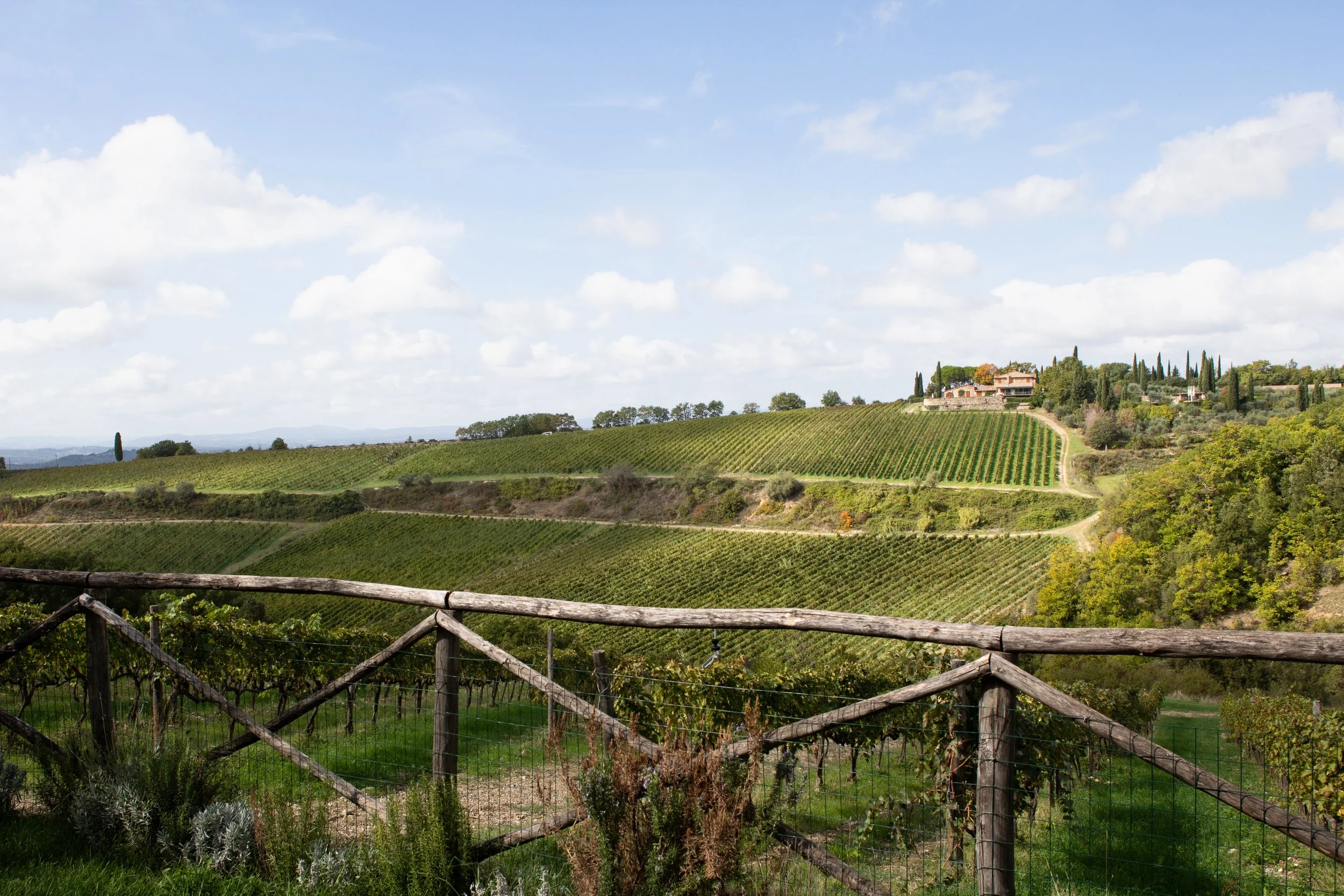 Ipsus: A Tasting in Chianti