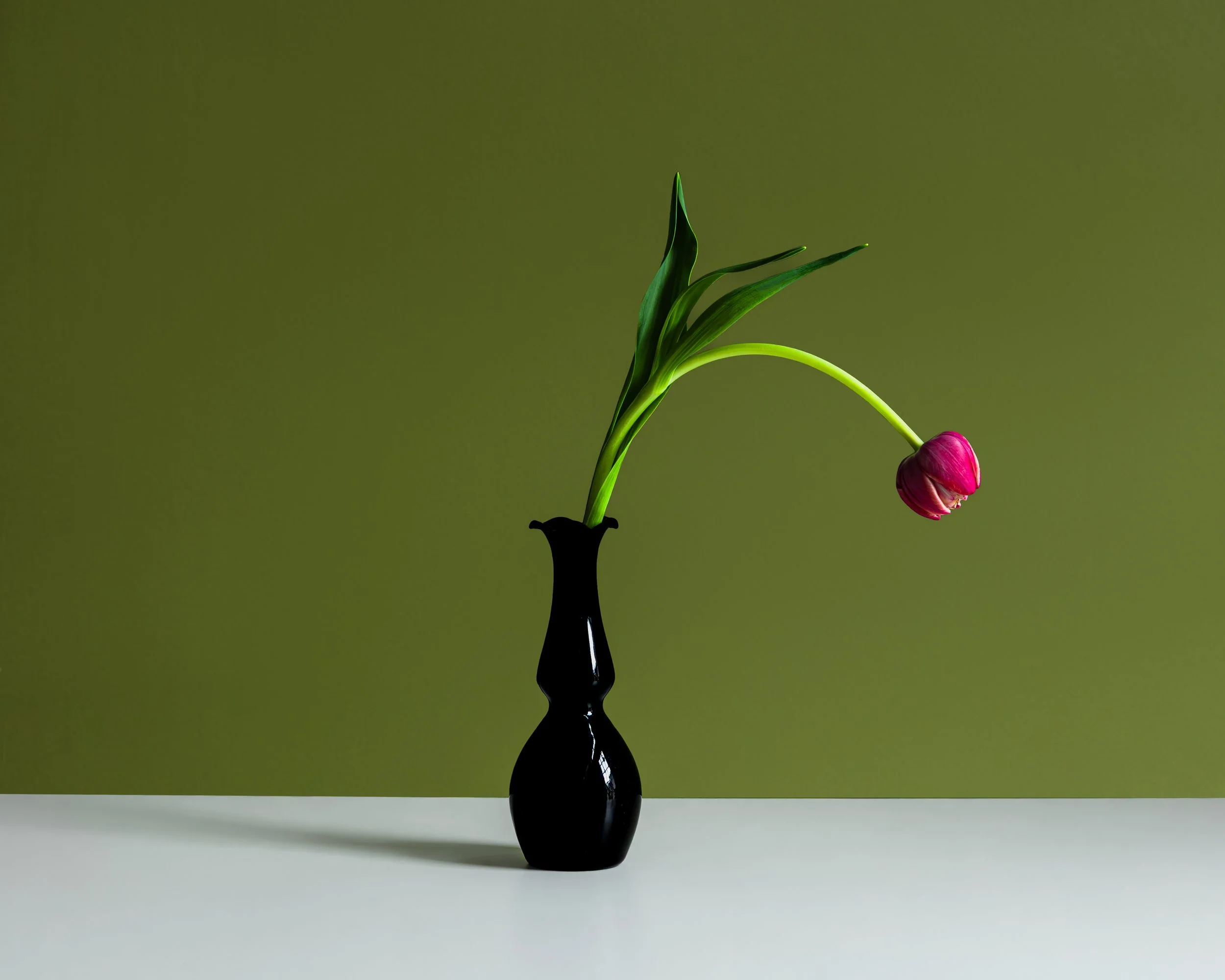 Fenimore Flowers-2.jpg