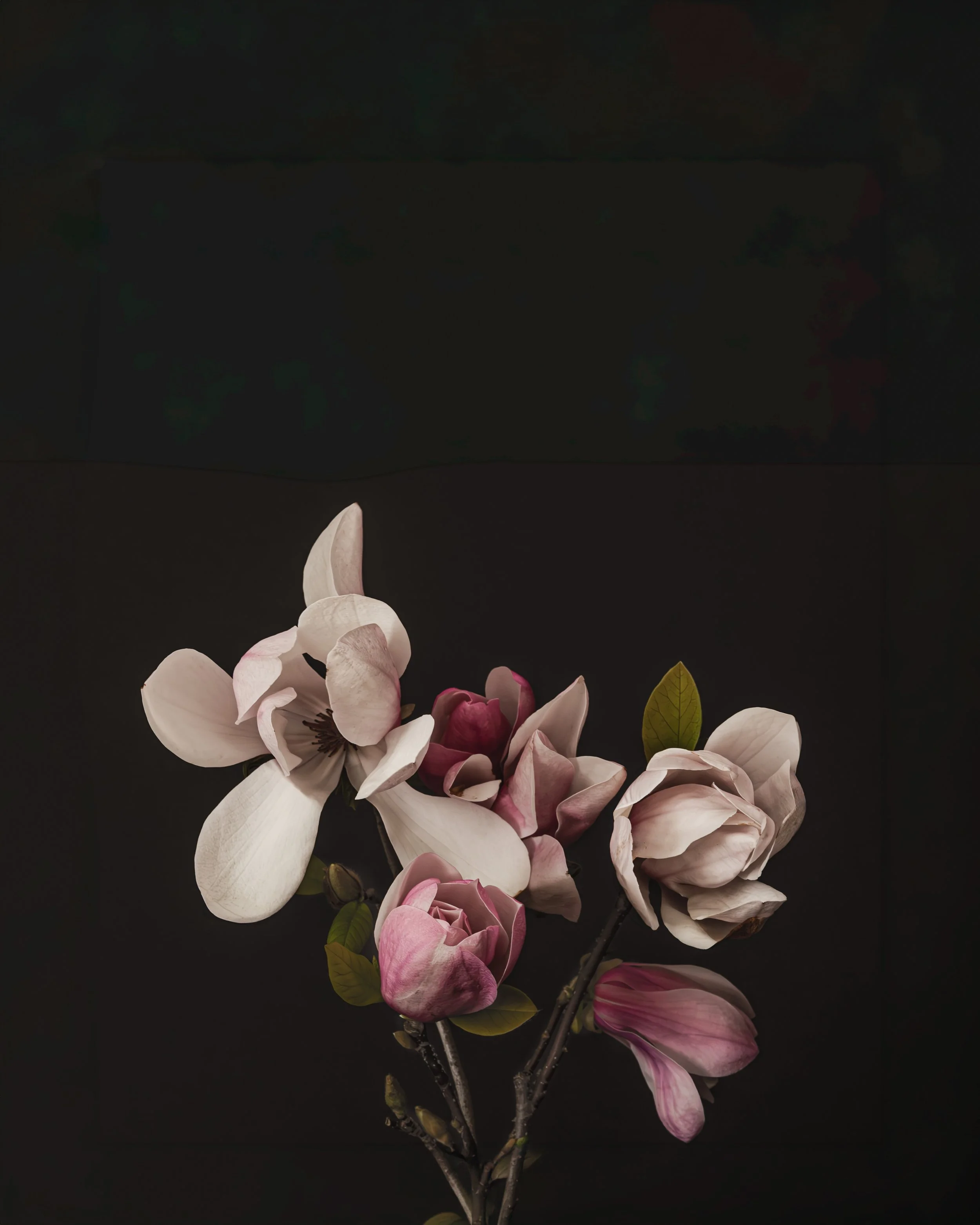 2027 CALENDAR BLACK-MAGNOLIAS HIGH RES -4.jpg