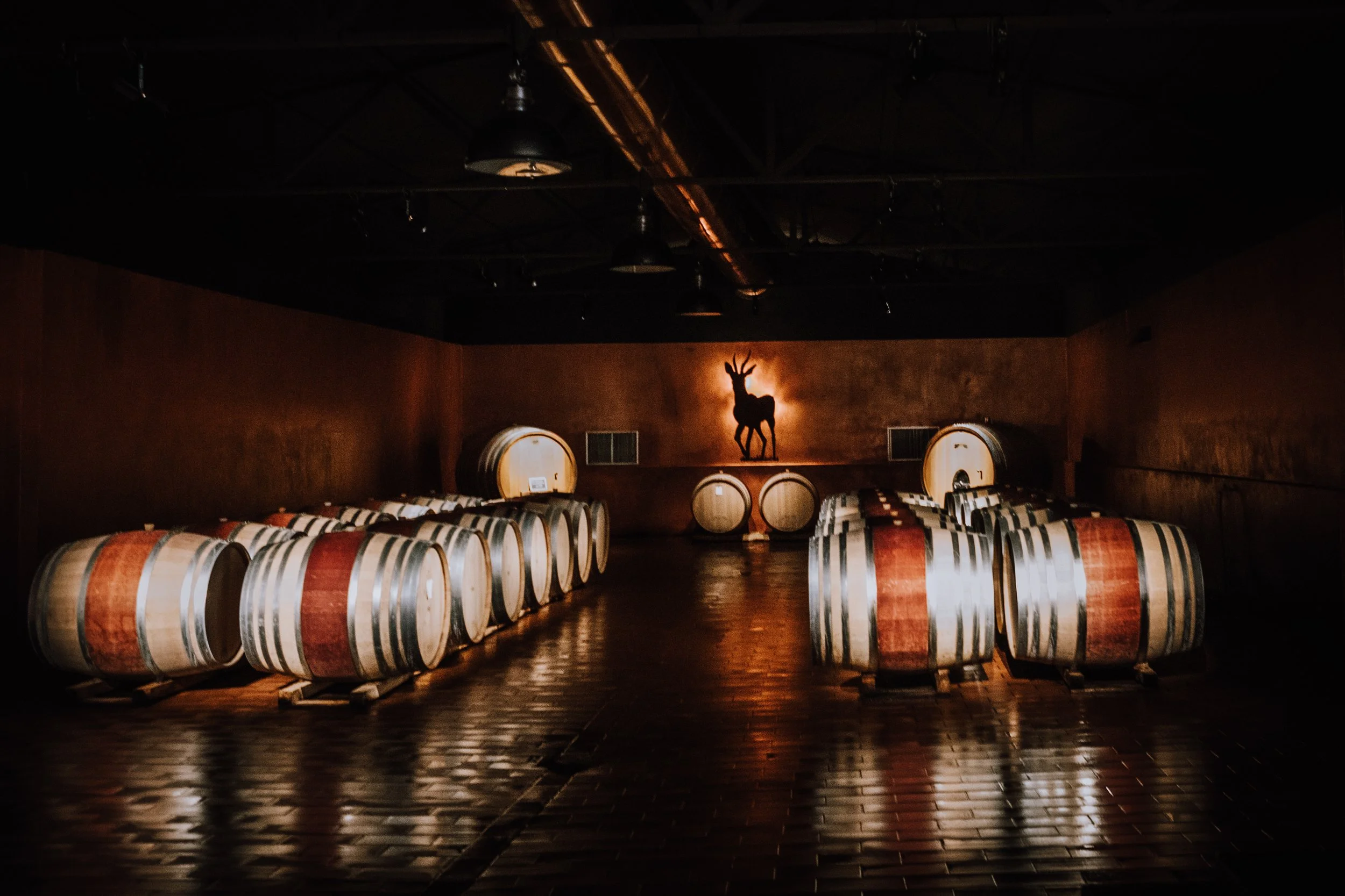 Wine barrels in the cellar at Ipsus winery with stag silhouette, Chianti.  Photography by Christine Harris.