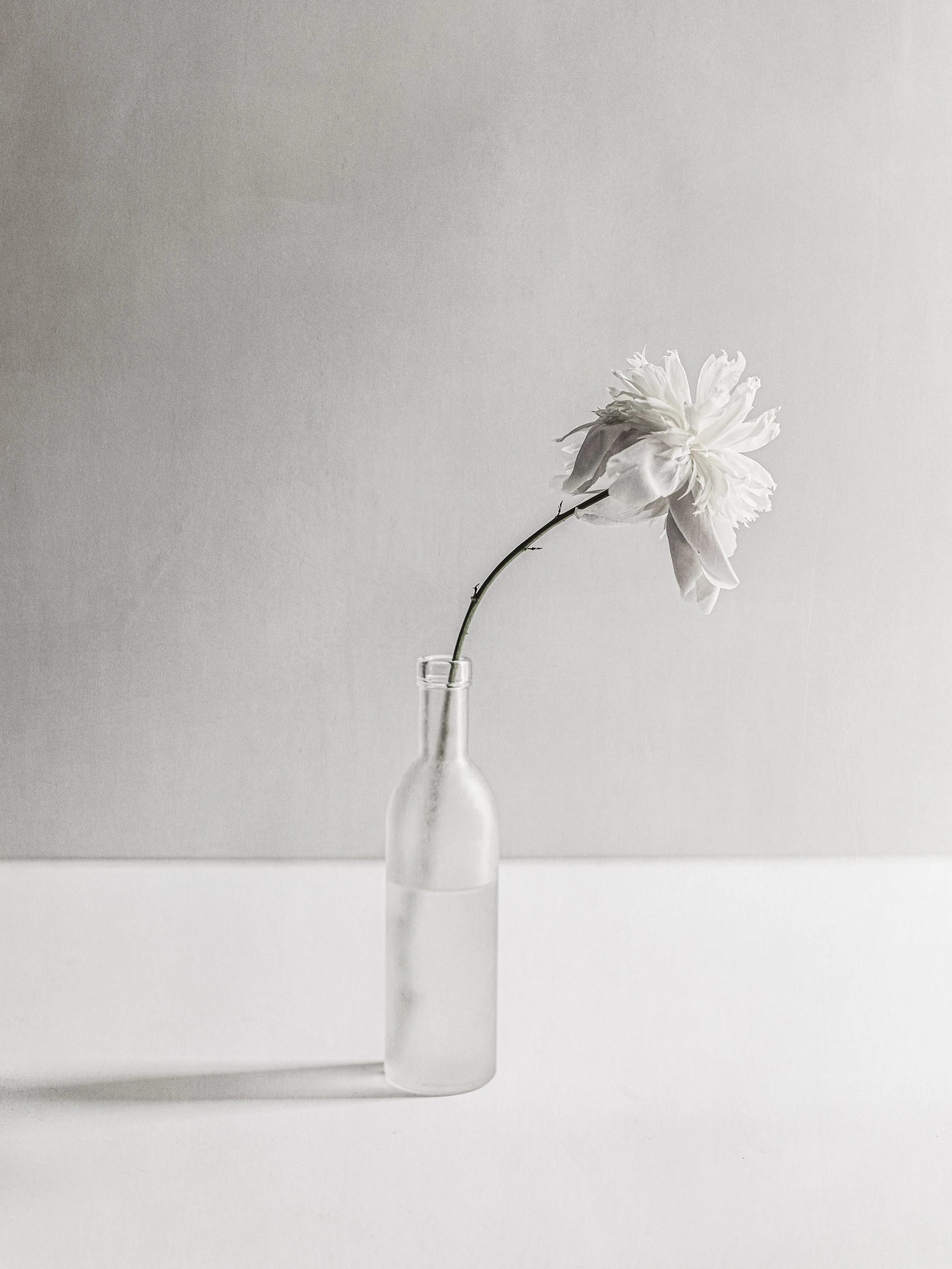 Abloom Finals-3.jpg
