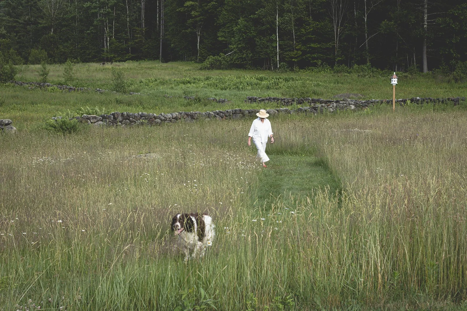 Jeanne Henriques walking through the summer meadow at Tahilla Farm in Peterborough, New Hampshire, with her dog Tawni running alongside her