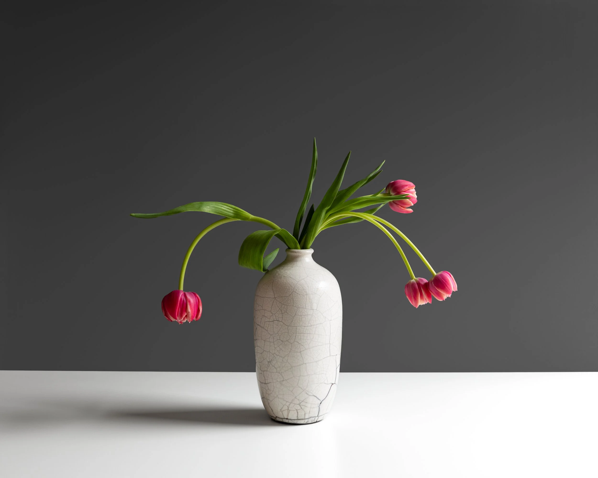 Fenimore Flowers-6.jpg